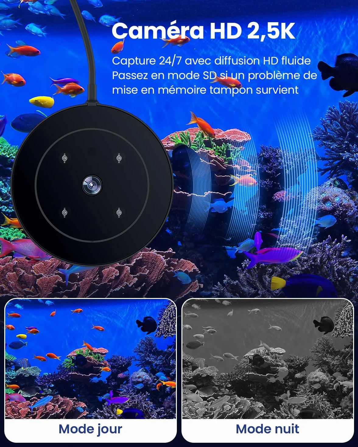 Mangeoire pour Poissons Automatique WOLMDS avec Caméra 2.5K et WiFi/App, 230ml Étanche, Gris Foncé