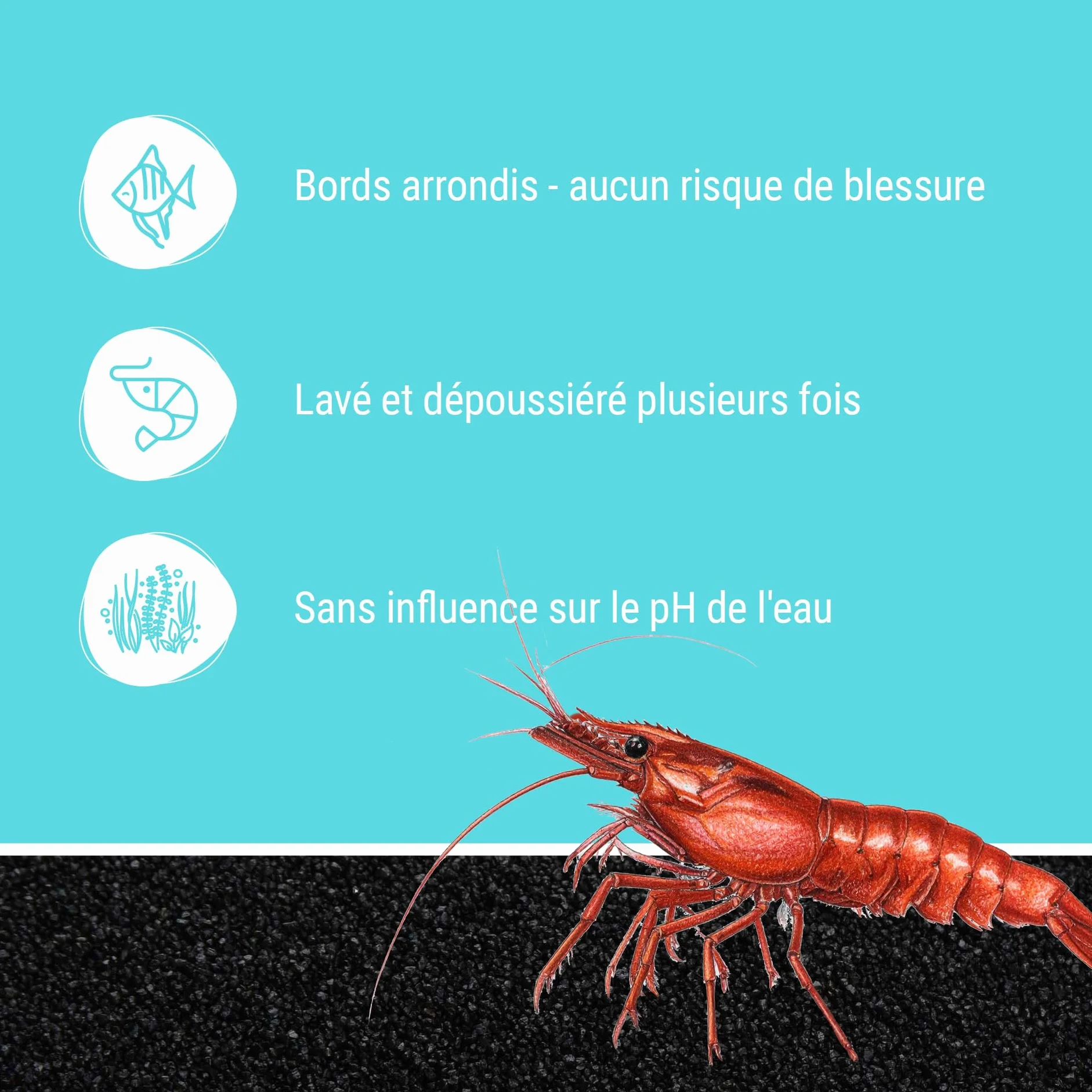 Schicker Mineral Sable d'aquarium Noir 0,4-0,8 mm 25 kg Gravier Fin pour Aquarium