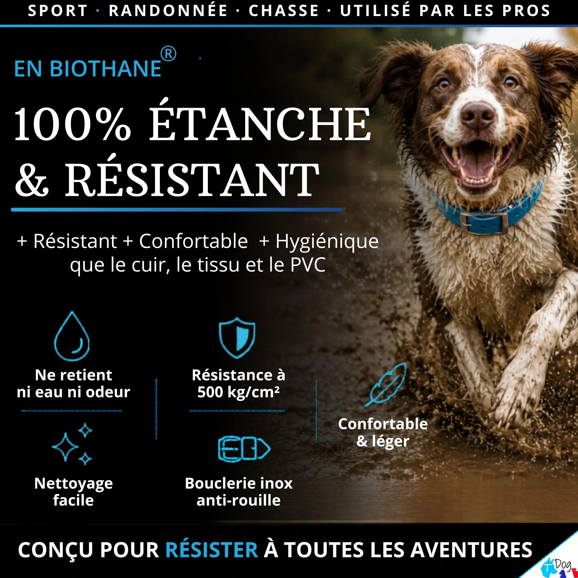 Collier Chien personnalisé Biothane Fait Main France gravé au Laser prénom numéro téléphone étanche résistant TDOG Rouge