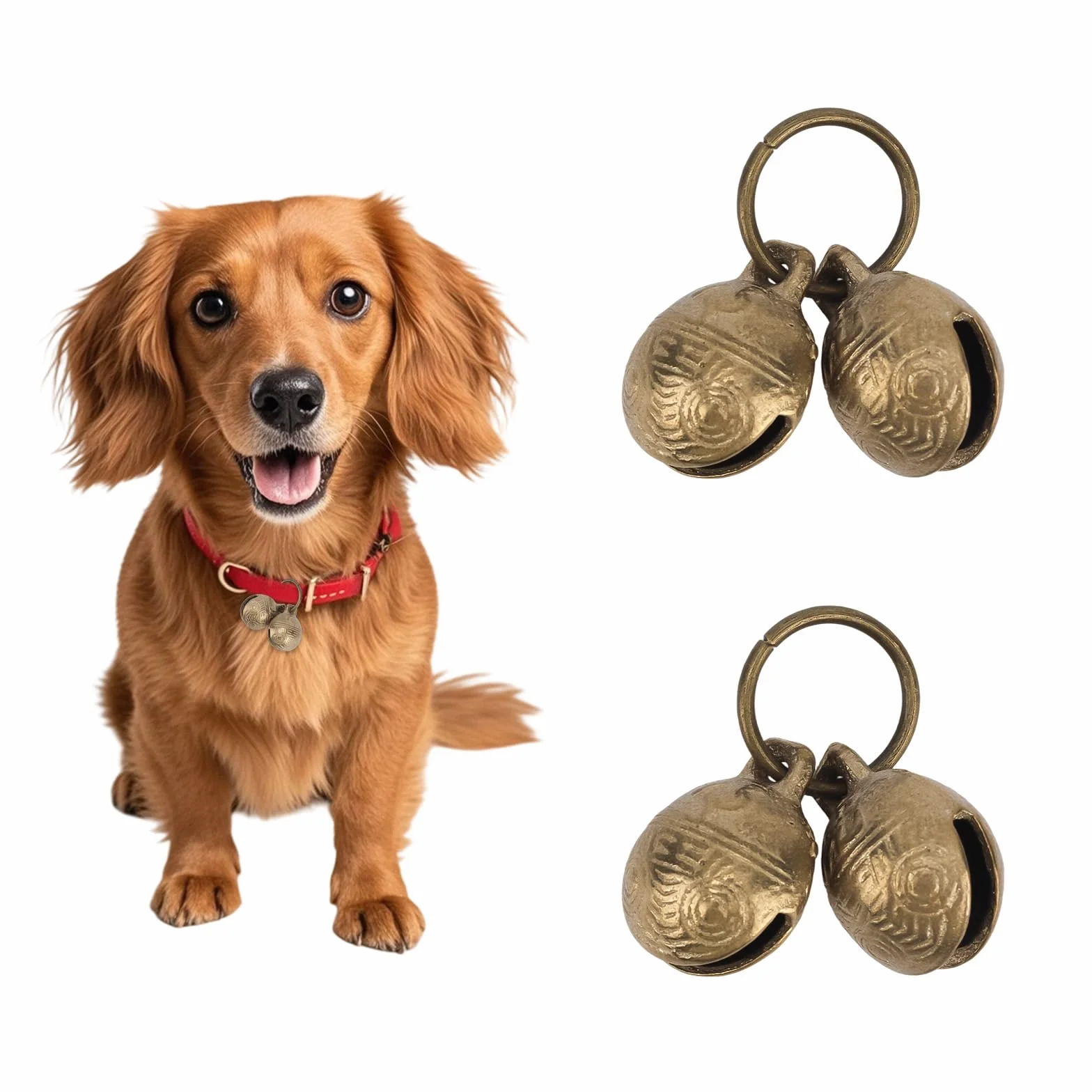 Cloches pour Chien en Laiton Extra Fortes Collier Animaux Compagnie Accessoires
