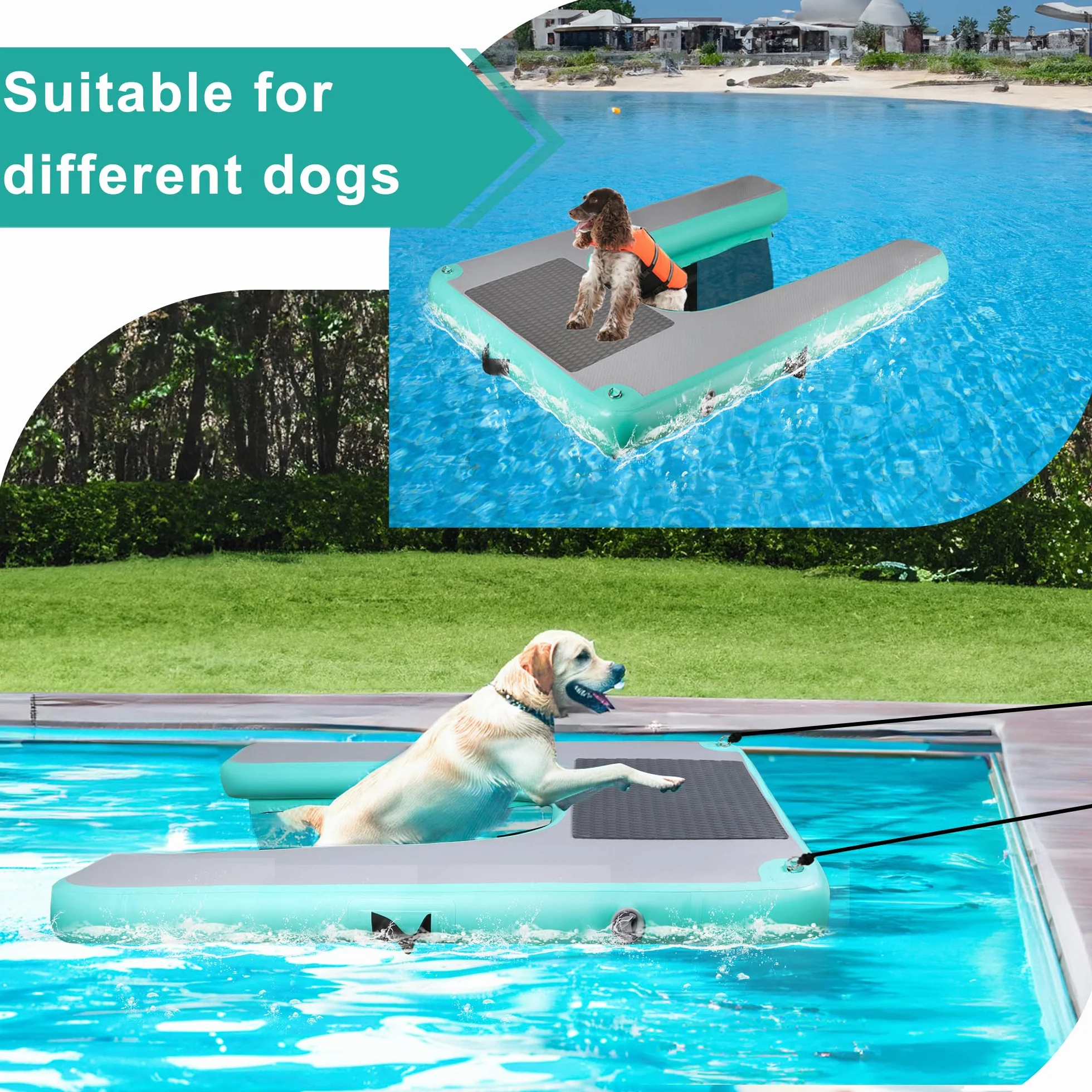 Rampe d'eau gonflable pour chiens, vert menthe, portable et durable
