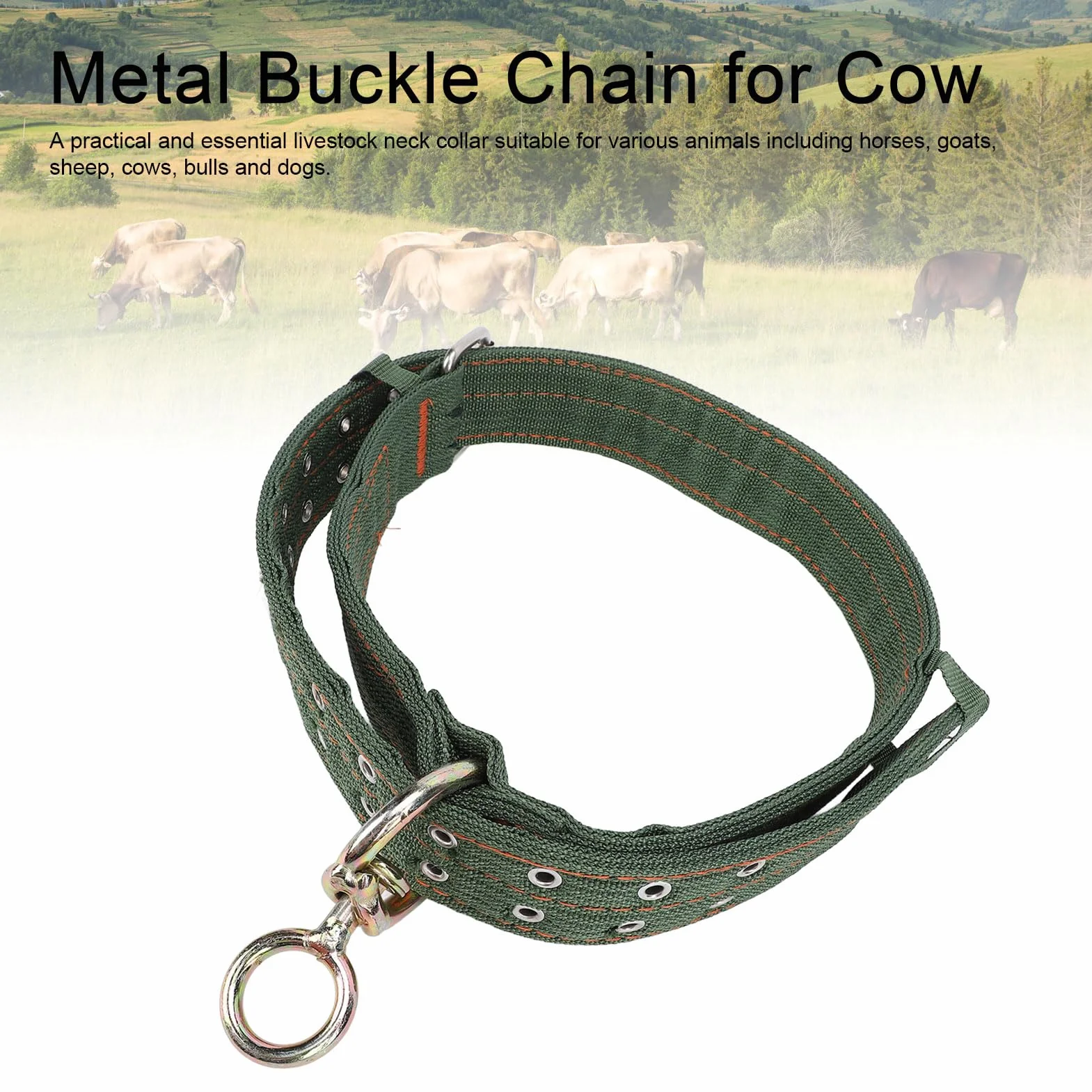 Collier pour bovins en Nylon épais avec Boucle en métal et chaîne de Traction pour Chevaux, Chiens et Animaux de Ferme (Taille Moyenne)