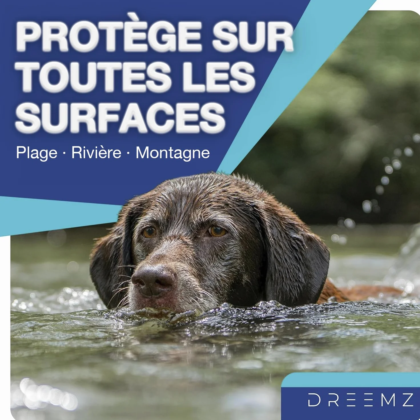 Collier Anti Puces pour Chien DREEMZ® 63cm Réglable 8 Mois Protection Imperméable Naturel