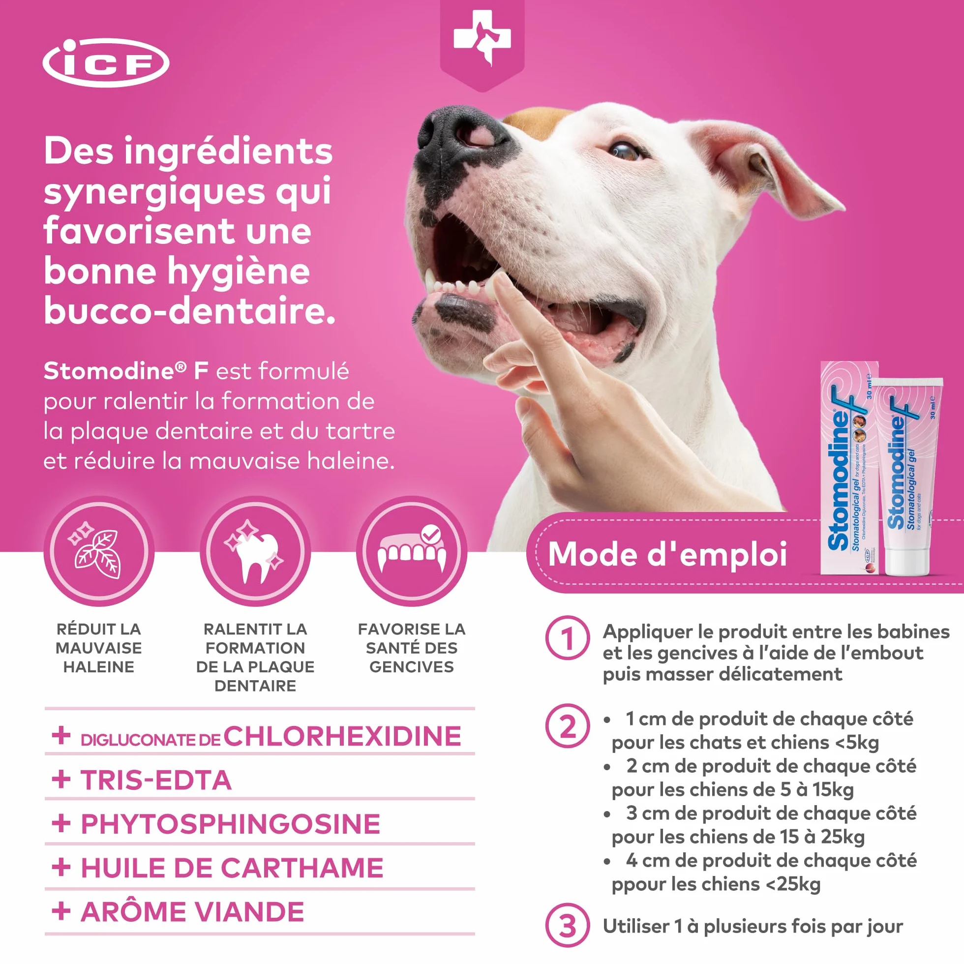 ICF Stomodine F Gel Appétent Hygiène Buccale Chiens Chats 30ml