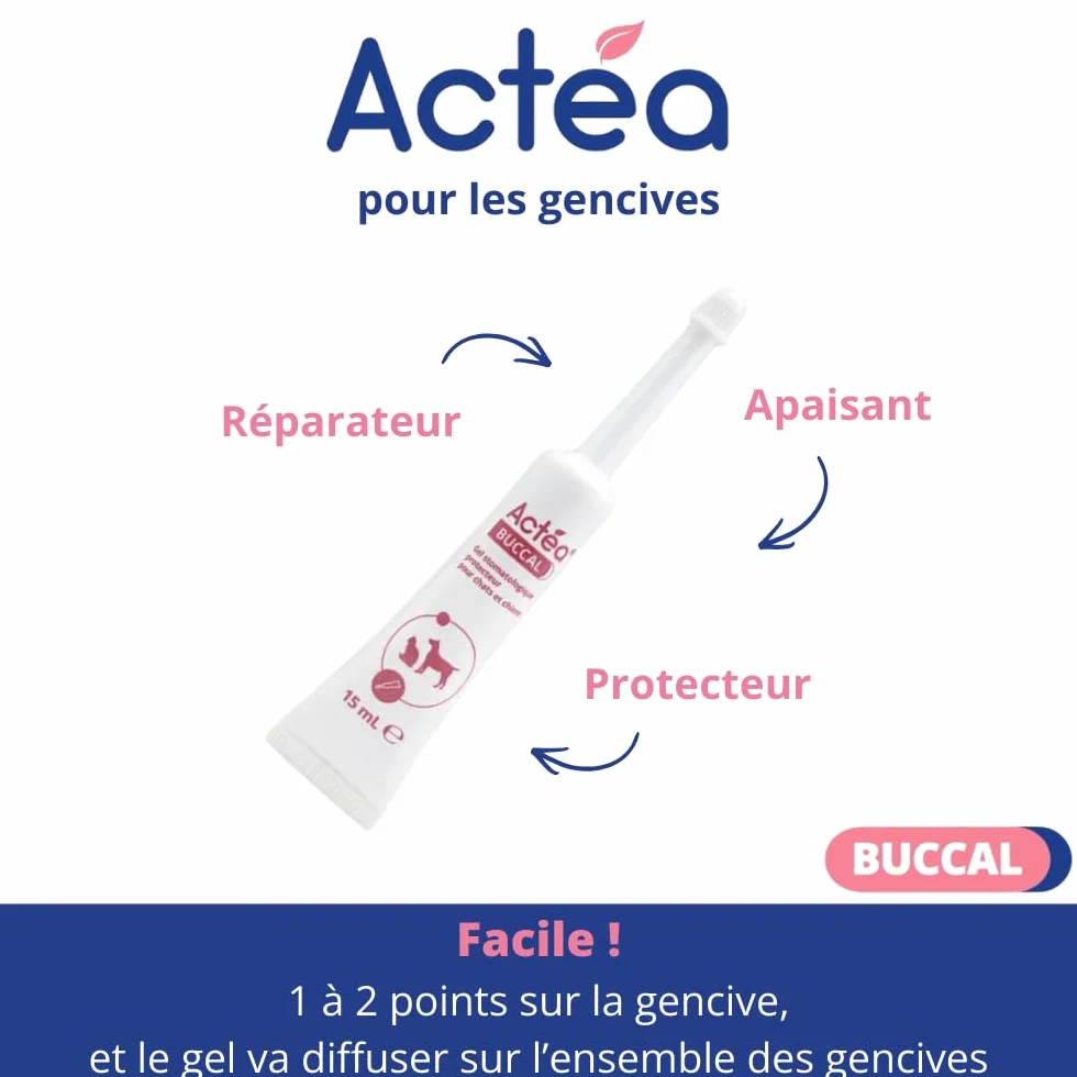 Anidev Actéa Buccal Gel apaisant gencives Chien Chat Hygiène bucco Dentaire 15 ML