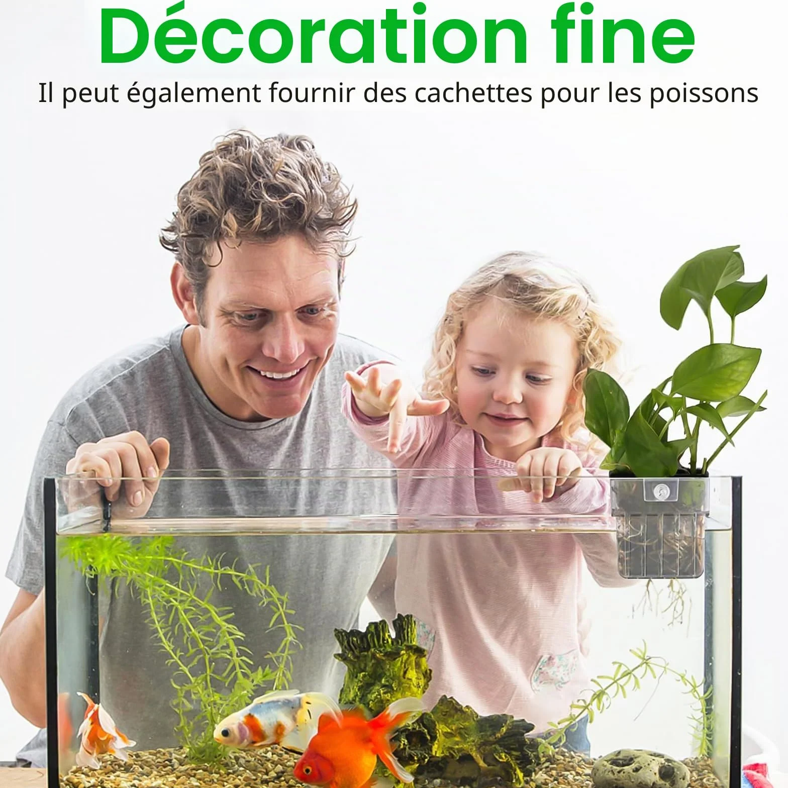 Support de Plante D'Aquarium Transparent, 4 Stück, Suspendu pour Aquarium Aquascape Décoration