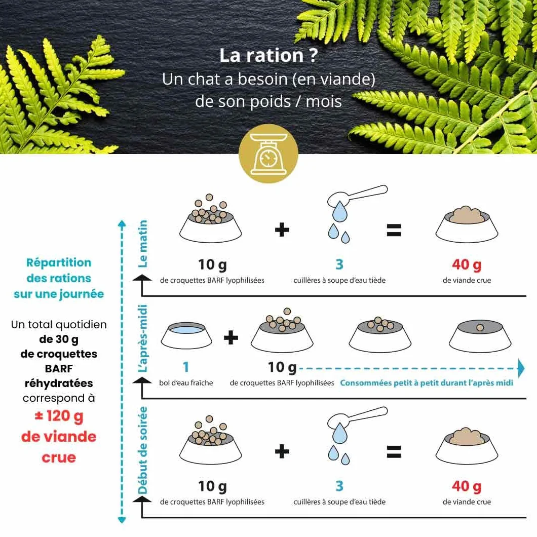 Mixte Barf lyophilisé spécial Chaton