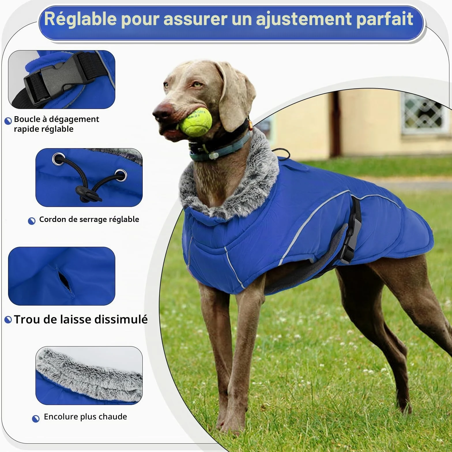 Manteau d'Hiver Chaud pour Chien - Veste Polaire Imperméable Coupe-Vent Réglable - Habit de Neige pour Temps Froid - Gilet Vêtements d'Hiver (Bleu, 3XL)