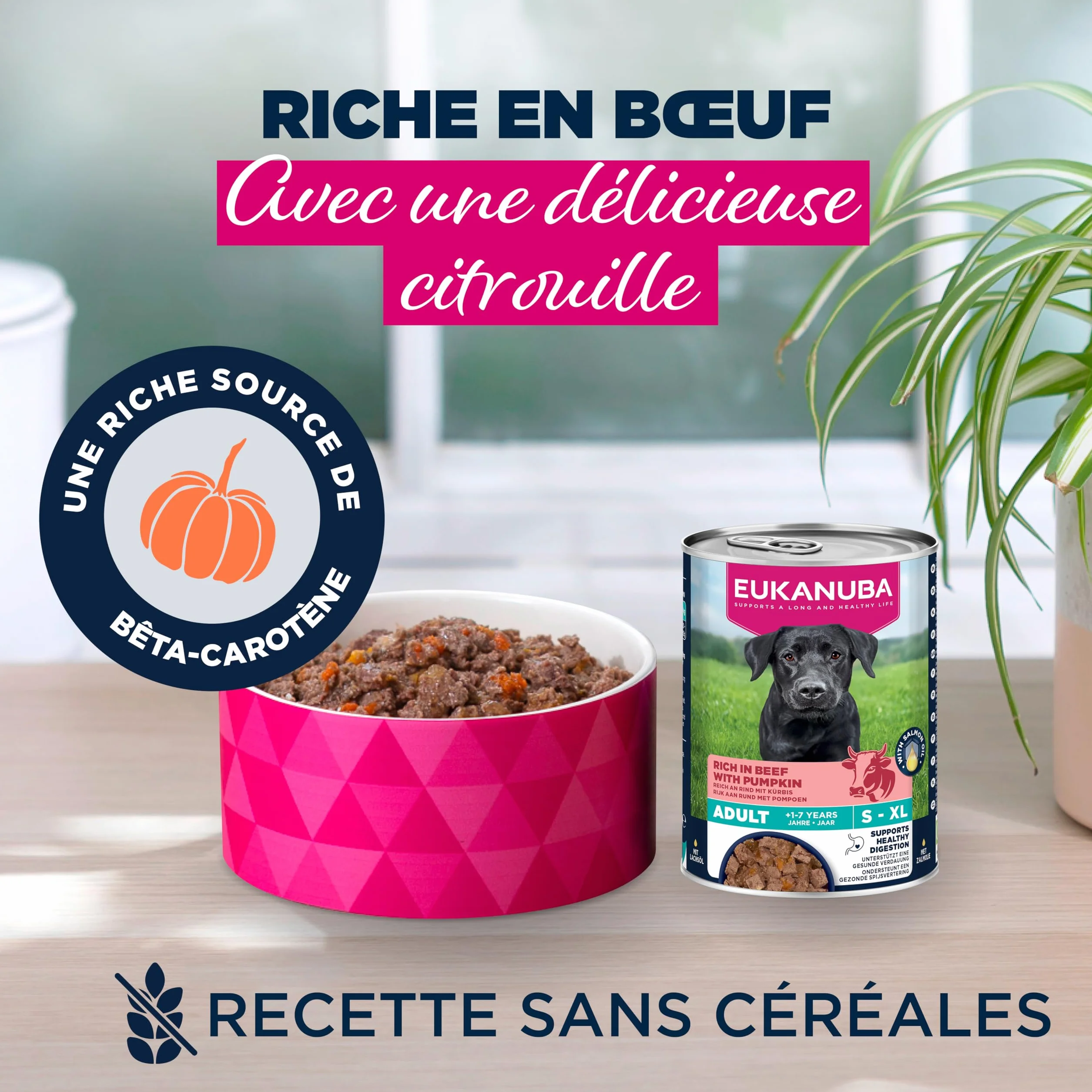 EUKANUBA Life Care Aliment Humide Chien Adulte 1-7 Ans Toutes Races, Pâtée Riche en Bœuf & Courges, Oméga-3, Calcium, 6x400g