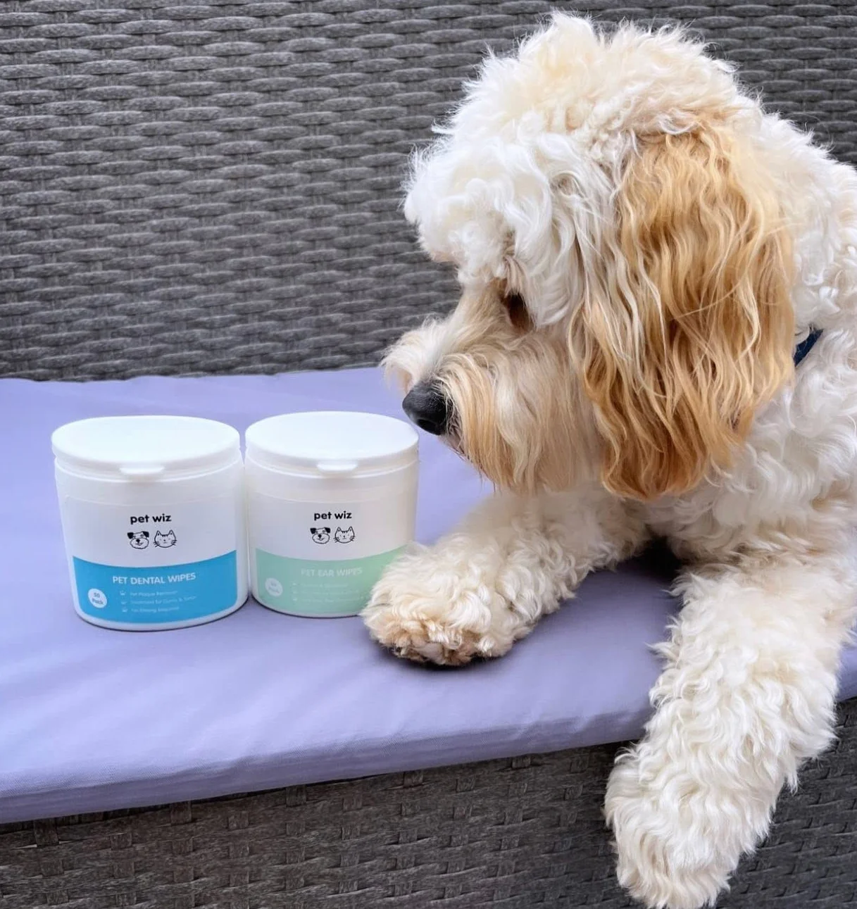 Lingettes dentaires à l'huile de Menthe Verte pour Chiens et Chats Pet Wiz