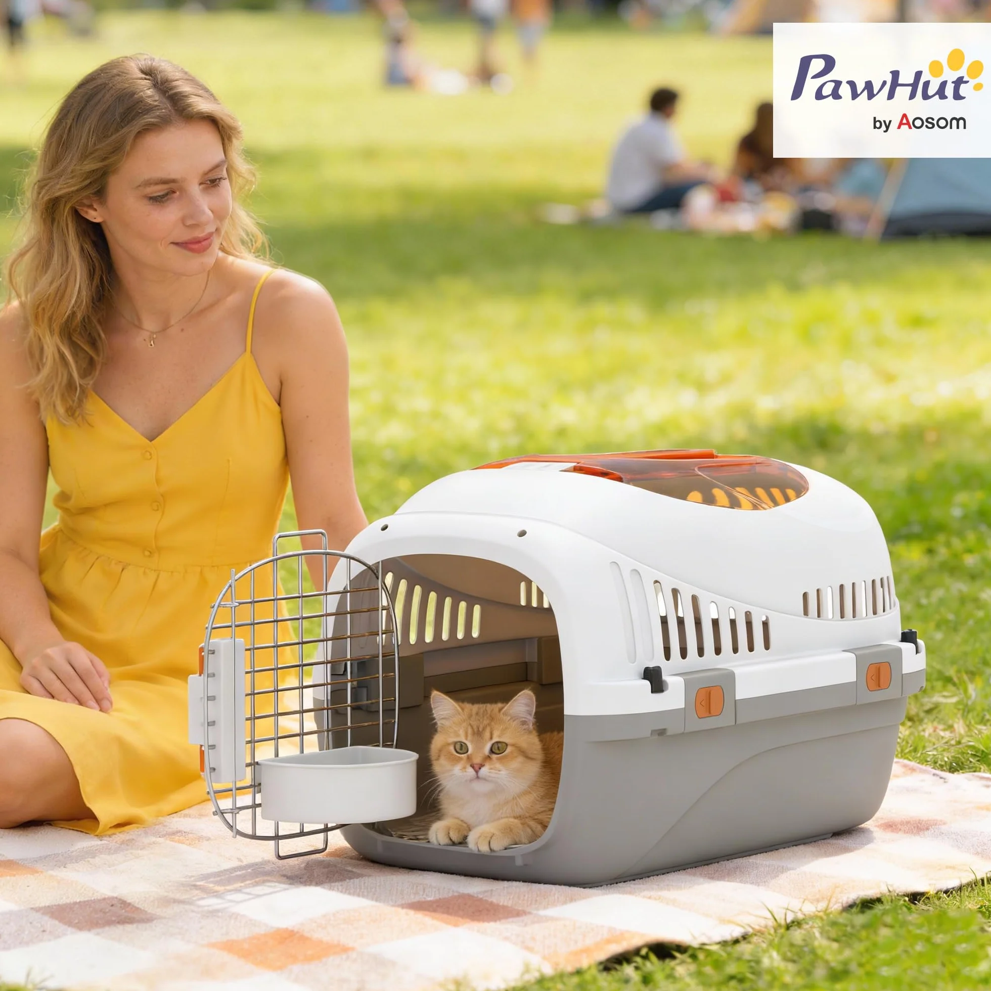 PawHut Caisse de Transport Chat et Chien jusqu'à 4 kg, 49 x 32 x 31 cm, Gris et Crème