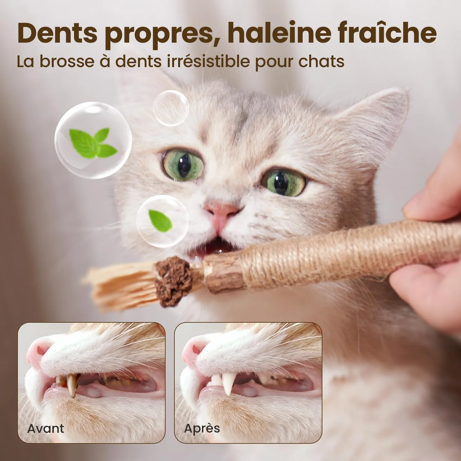 Potaroma Lot de 6 Bâtonnets Naturels pour Chats – Jouets à Mâcher avec Cataire & Silvervine