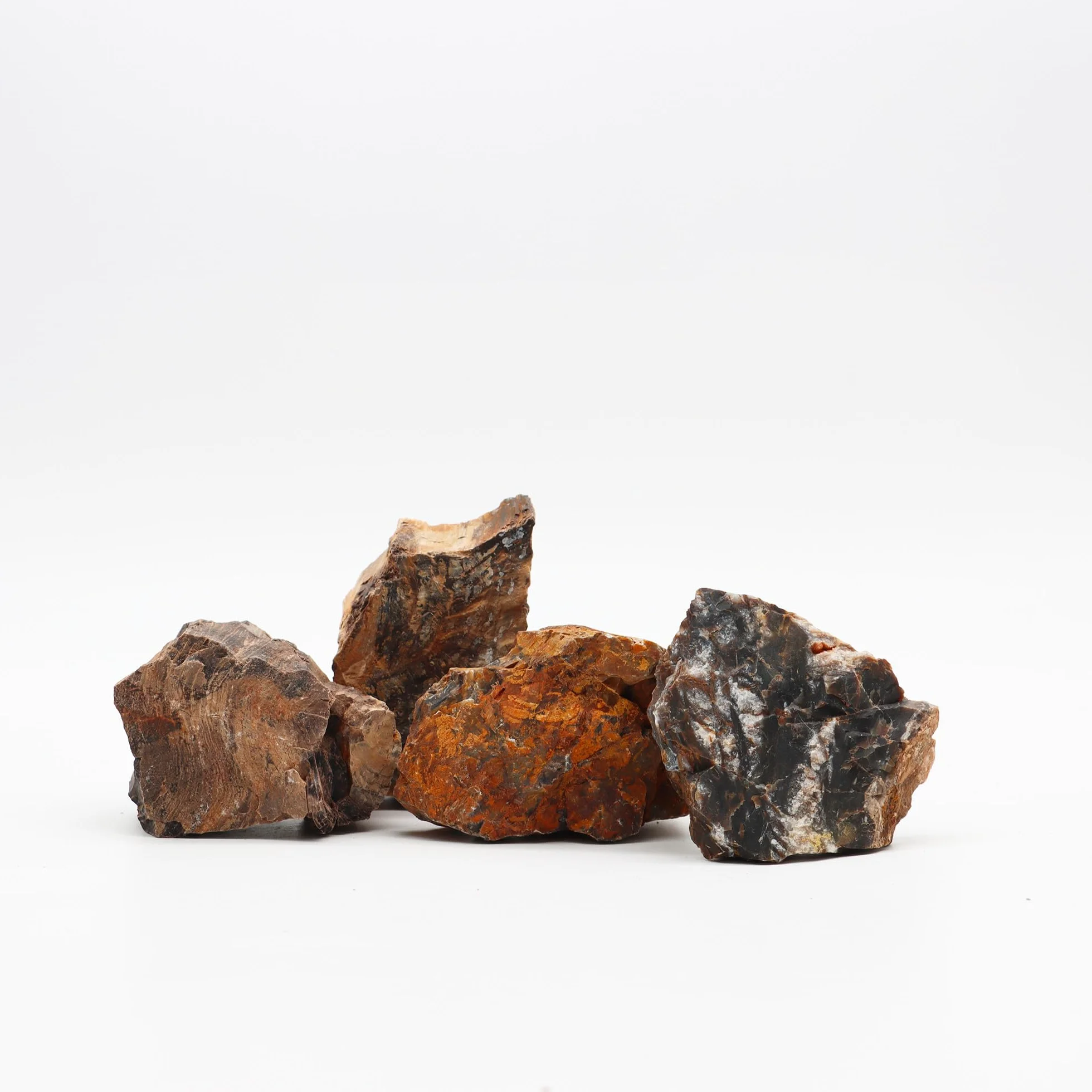 Amtra Roccia Pétrifiée M 720 gr