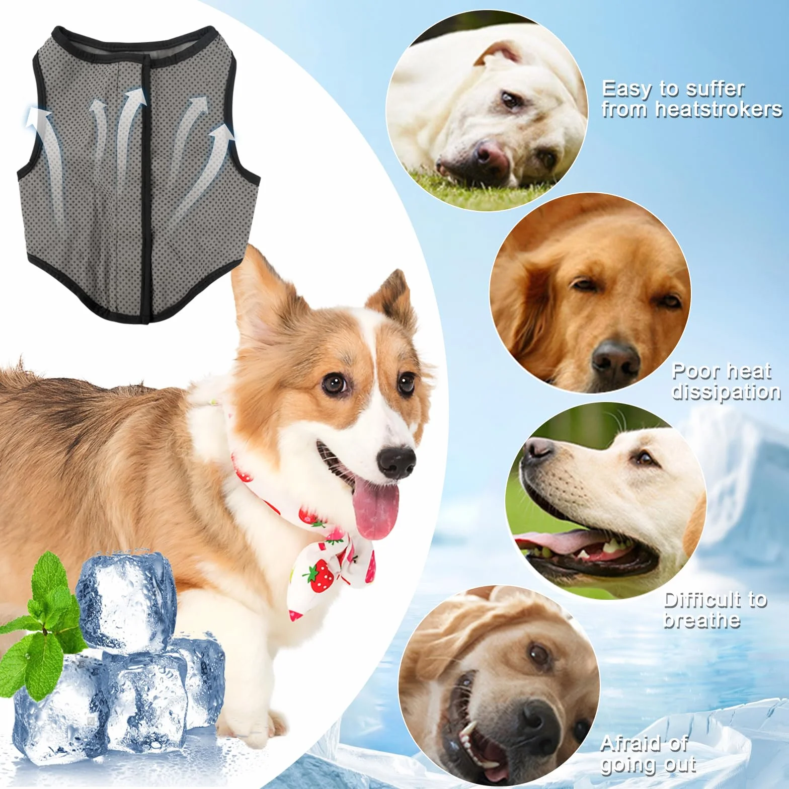 Gilet de Refroidissement Chien Tailles 5 Veste Rafraîchissant Petite Moyenne Grande Taille Été Manteau Cool Confortable Extérieur Camping XL