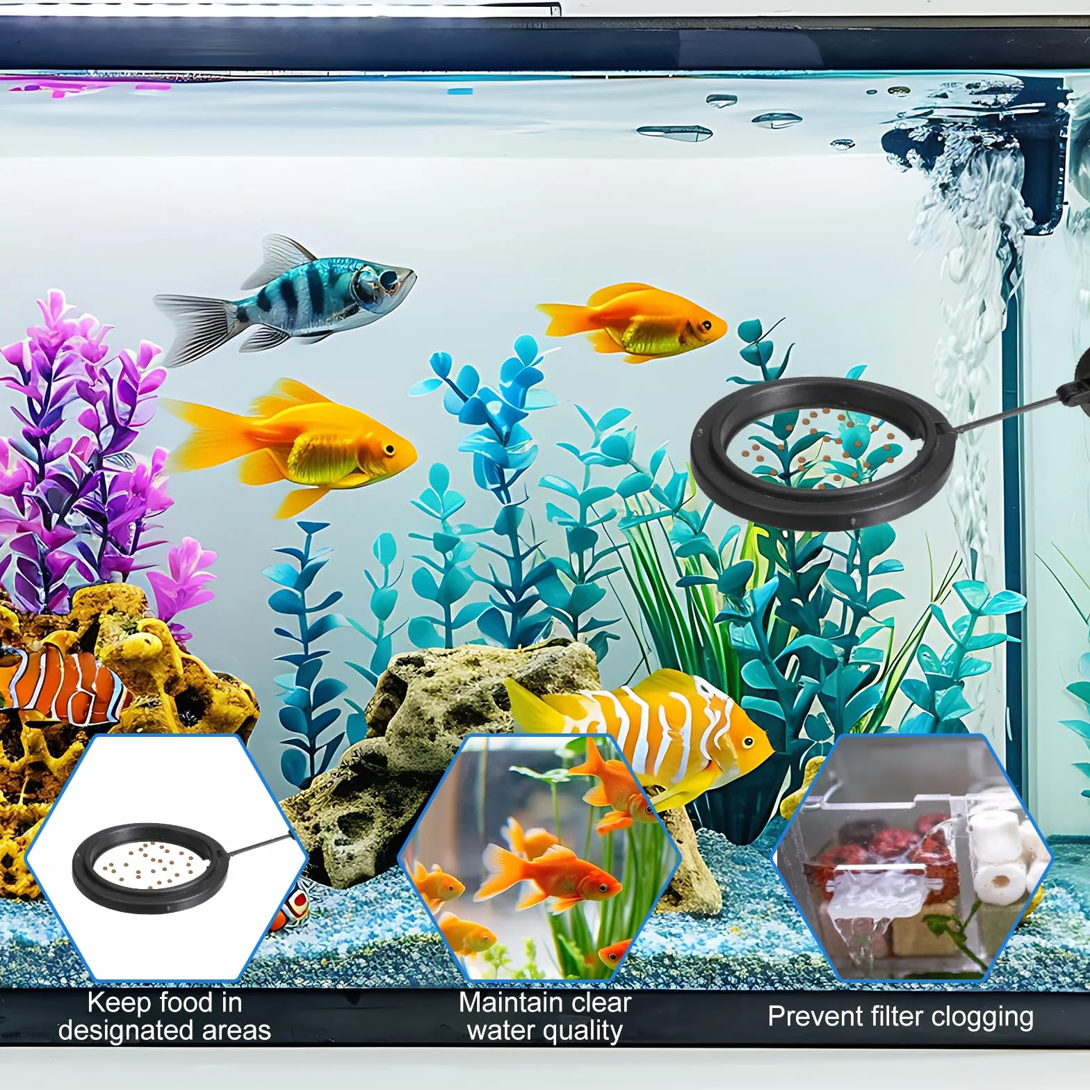Lot de 2 anneaux d'alimentation pour poissons d'aquarium - Distributeur automatique avec ventouses - Noir