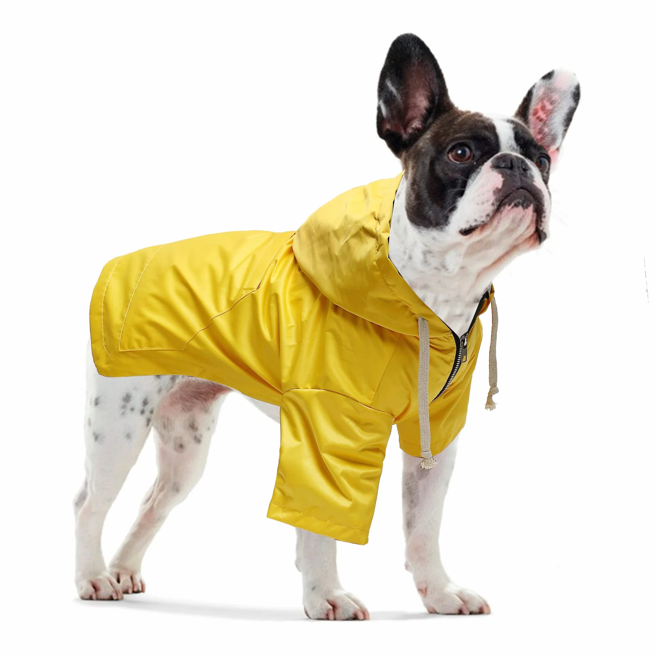 Pethiy-Capuche Manteaux imperméables pour Chiens, Chien Manteau de Pluie avec Fermeture éclair e Poches, Imperméable vêtements de Chien avec Cordon réglable,pour Chiot Petite Moyenne Chien-Jaune-S