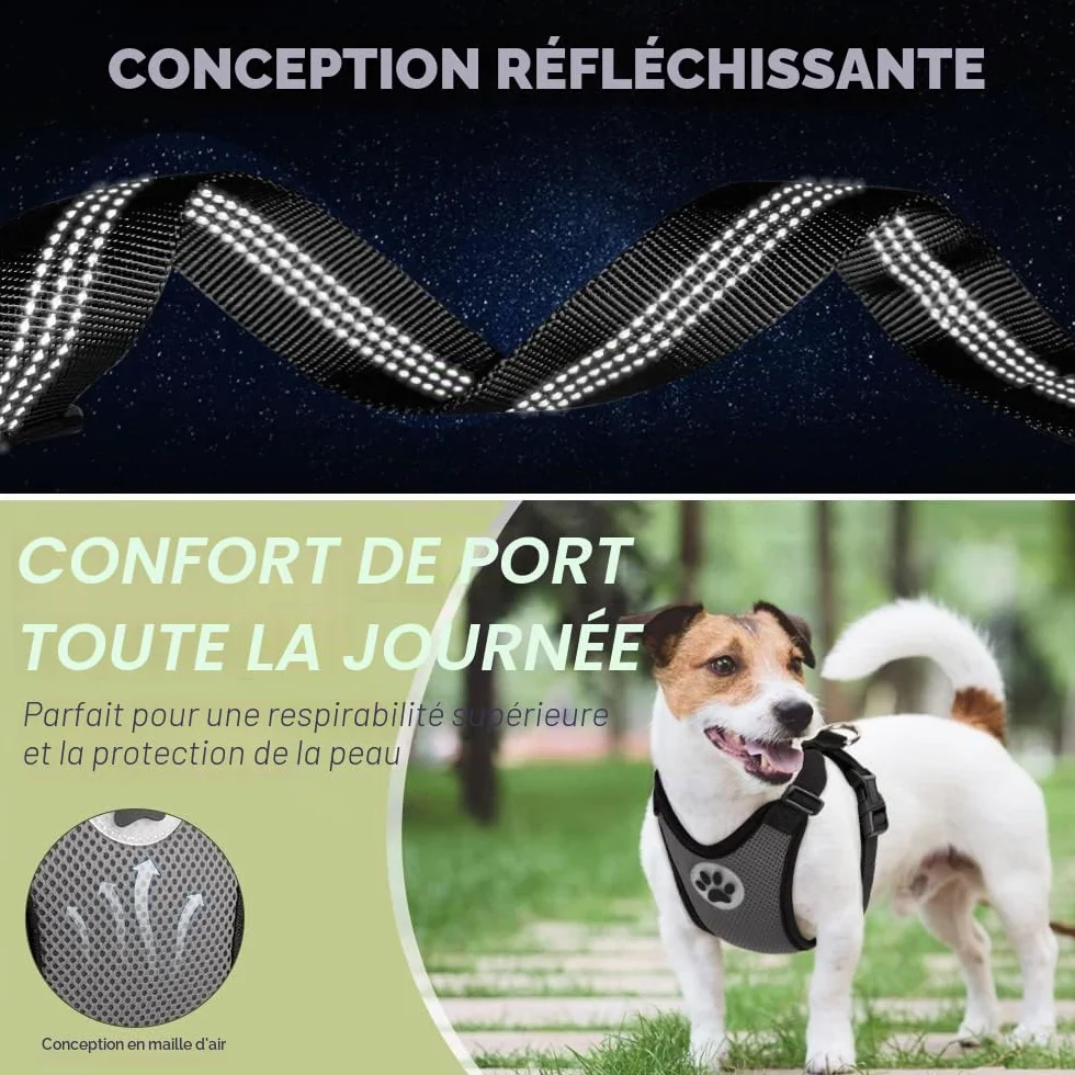 SlowTon Harnais de Sécurité pour Chien Voiture, Gilet Réglable Respirant avec Laisse, Multifonction pour Voyage Promenade
