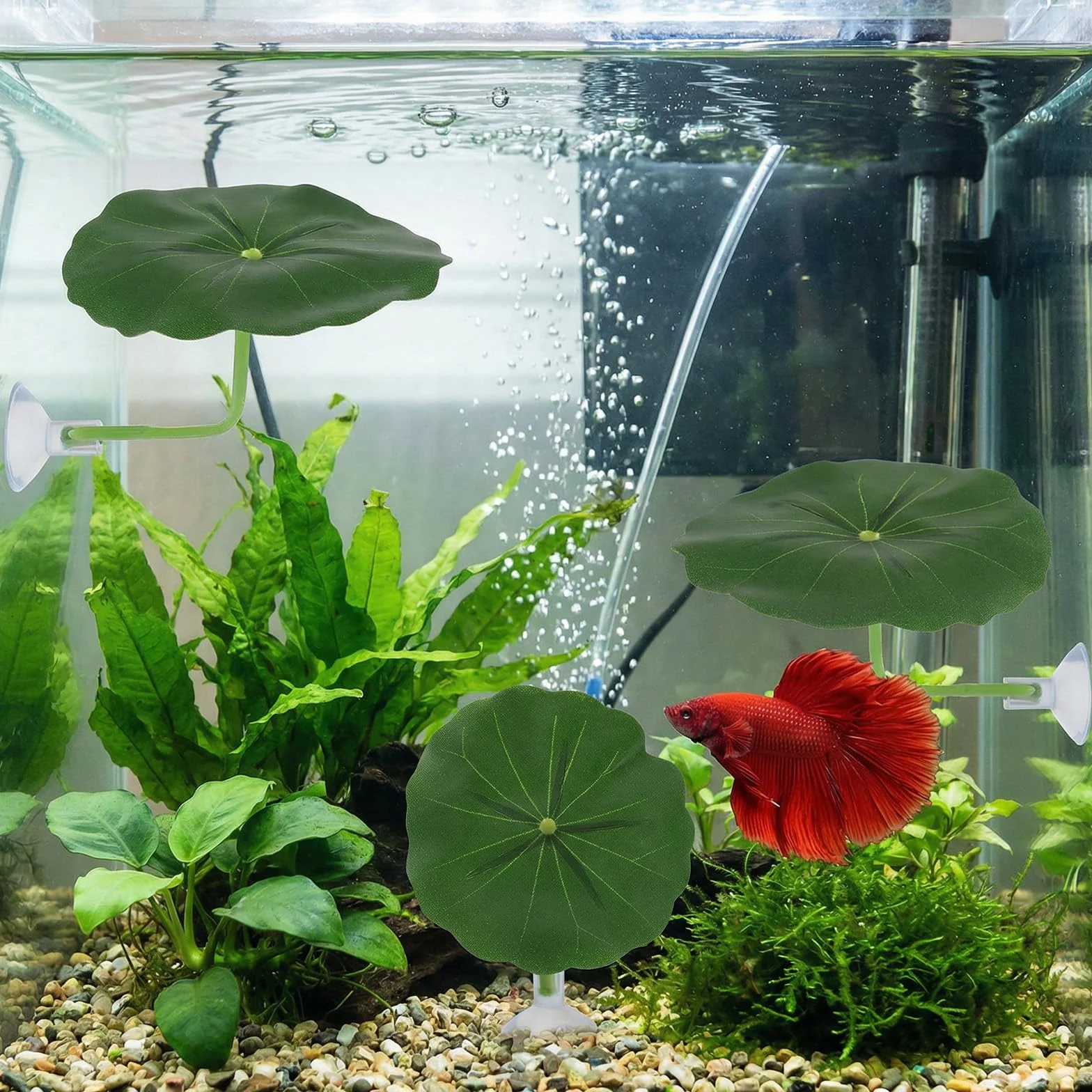 Xinjoduz Hamac en plastique pour aquarium poisson betta, coussin feuille décoration aquarium