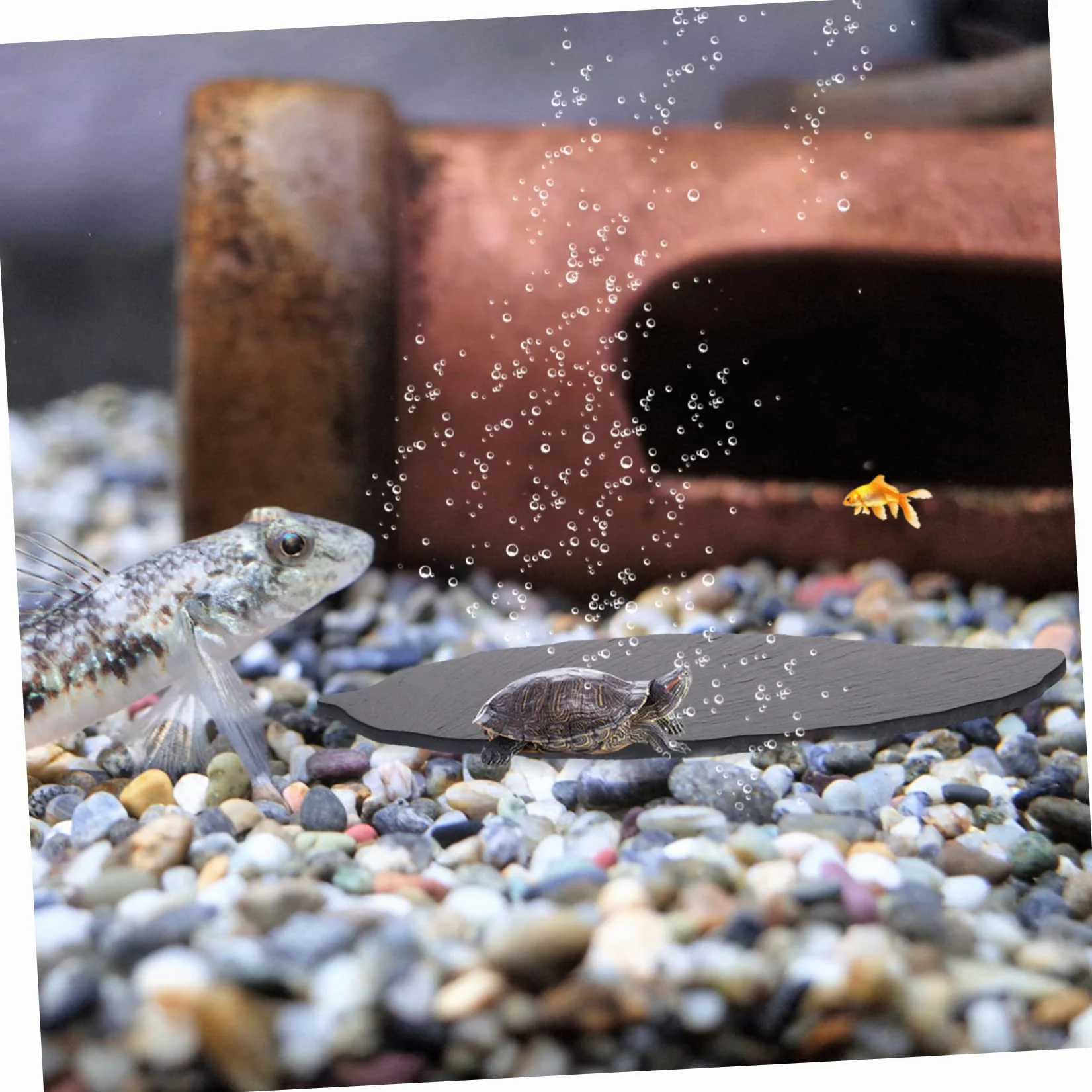 YARNOW Plateforme Tortue Rochers Noirs Multifonctionnelle Résistante usure Support Repos Aquarium Habitat Domestique