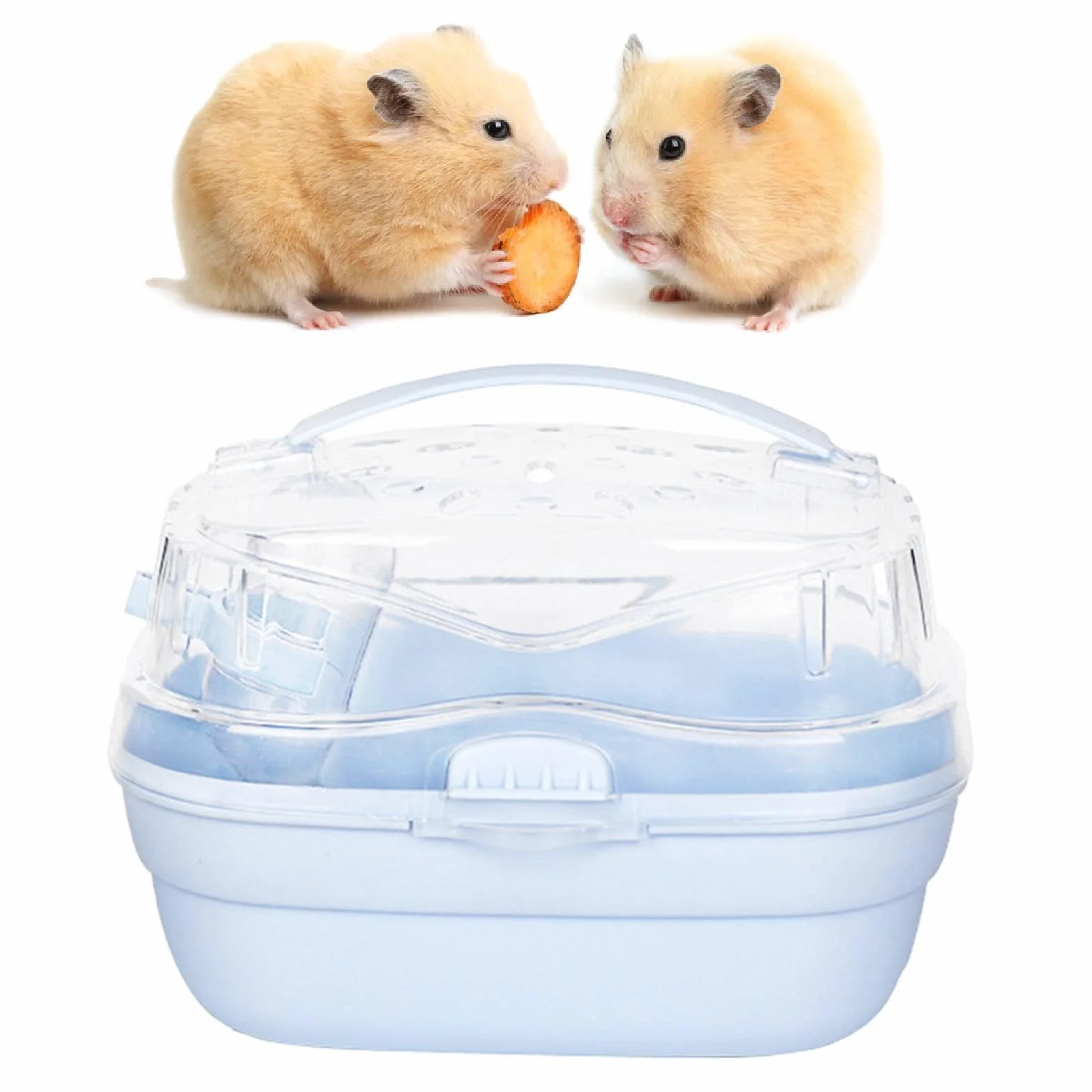Cage de Transport pour Hamster Portable Voyage Plein Air Bleu crème