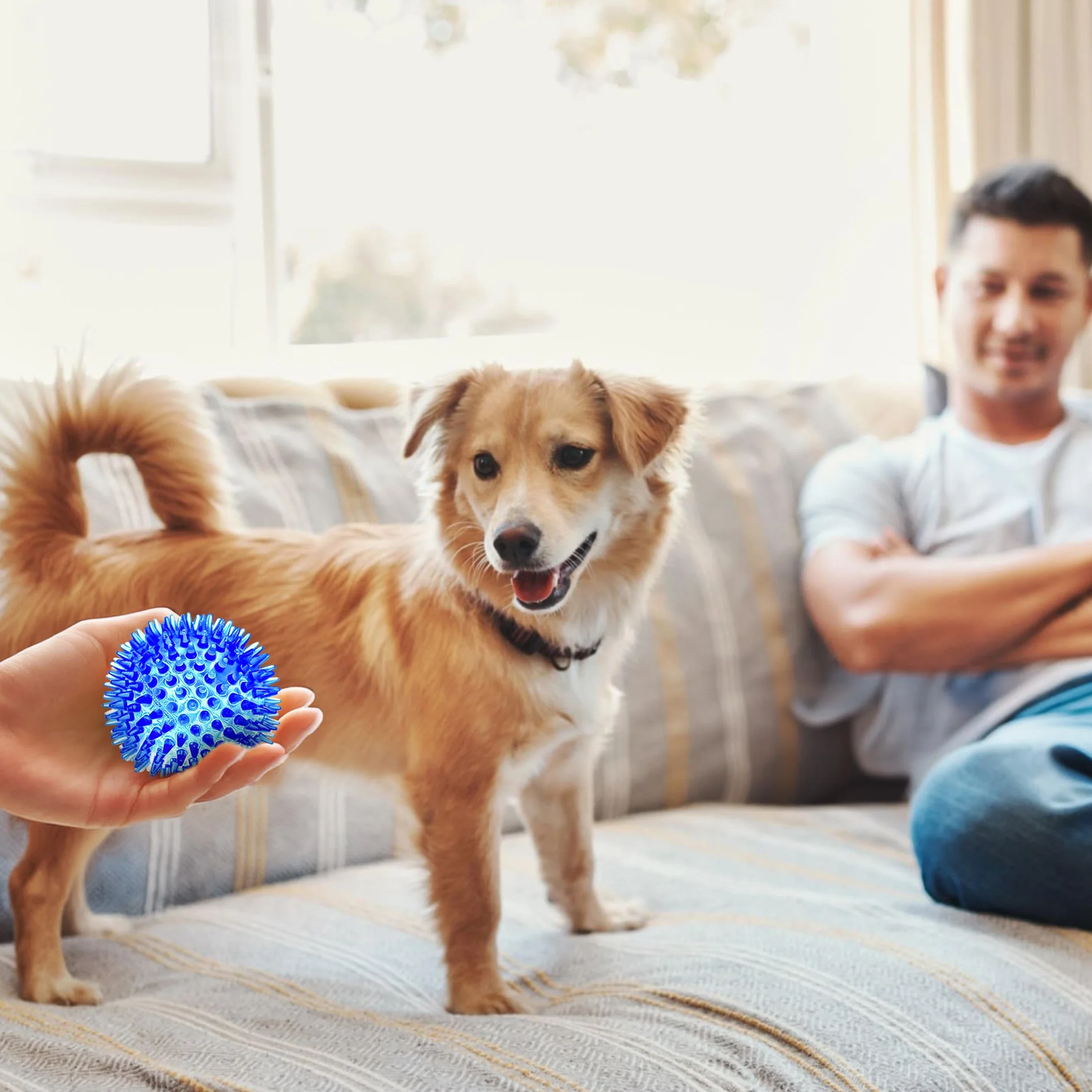 SHARLOVY Balles couineuses 7,6 cm pour Petits Chiens, 4 Couleurs, Jouets à mâcher durables pour Dentition