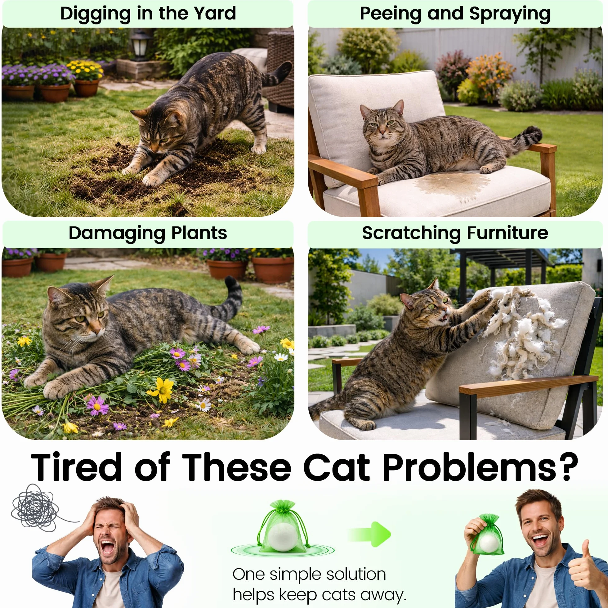 Lot de 10 balles répulsives naturelles pour chat – Non toxique, intérieur et extérieur