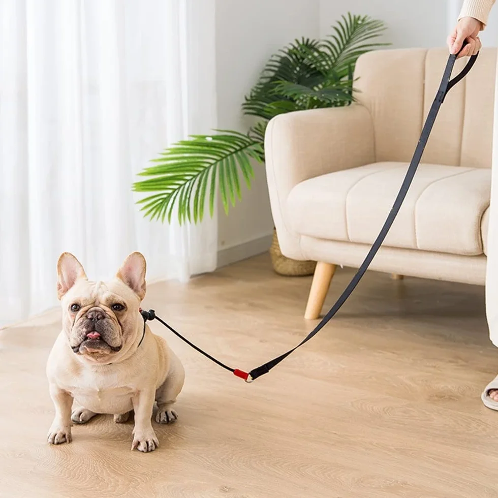 Laisse Dressage Rembourrée Corde,1,4 m Laisse de Contrôle Professionnelle avec 2 Poignées pour Chien Chiots de Petite Taille Moyenne