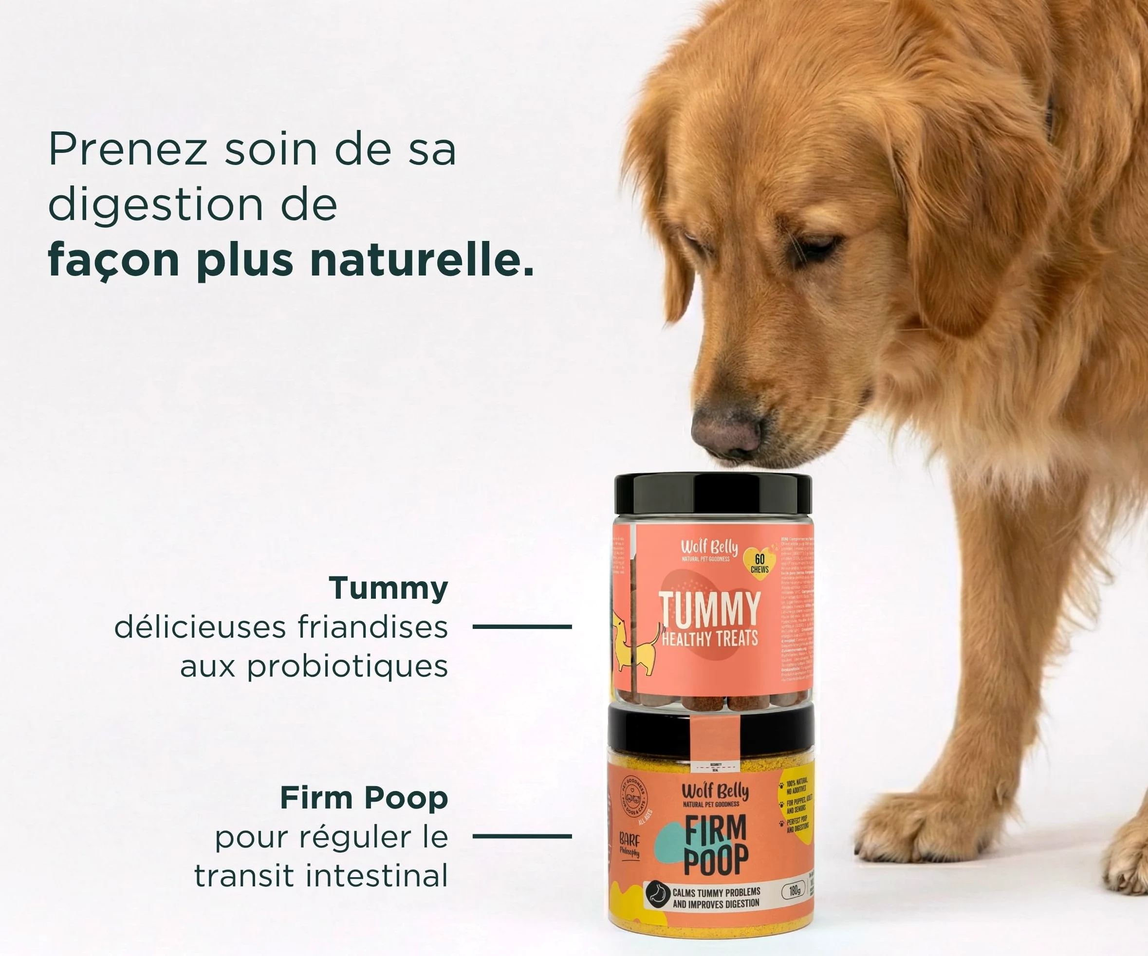 Wolf Belly - Pack Digestif pour Chiens | Complément Digestif en Poudre + Friandises aux Probiotiques | Réduit la Diarrhée | Améliore la Flore Intestinale - Fabriqué en Europe