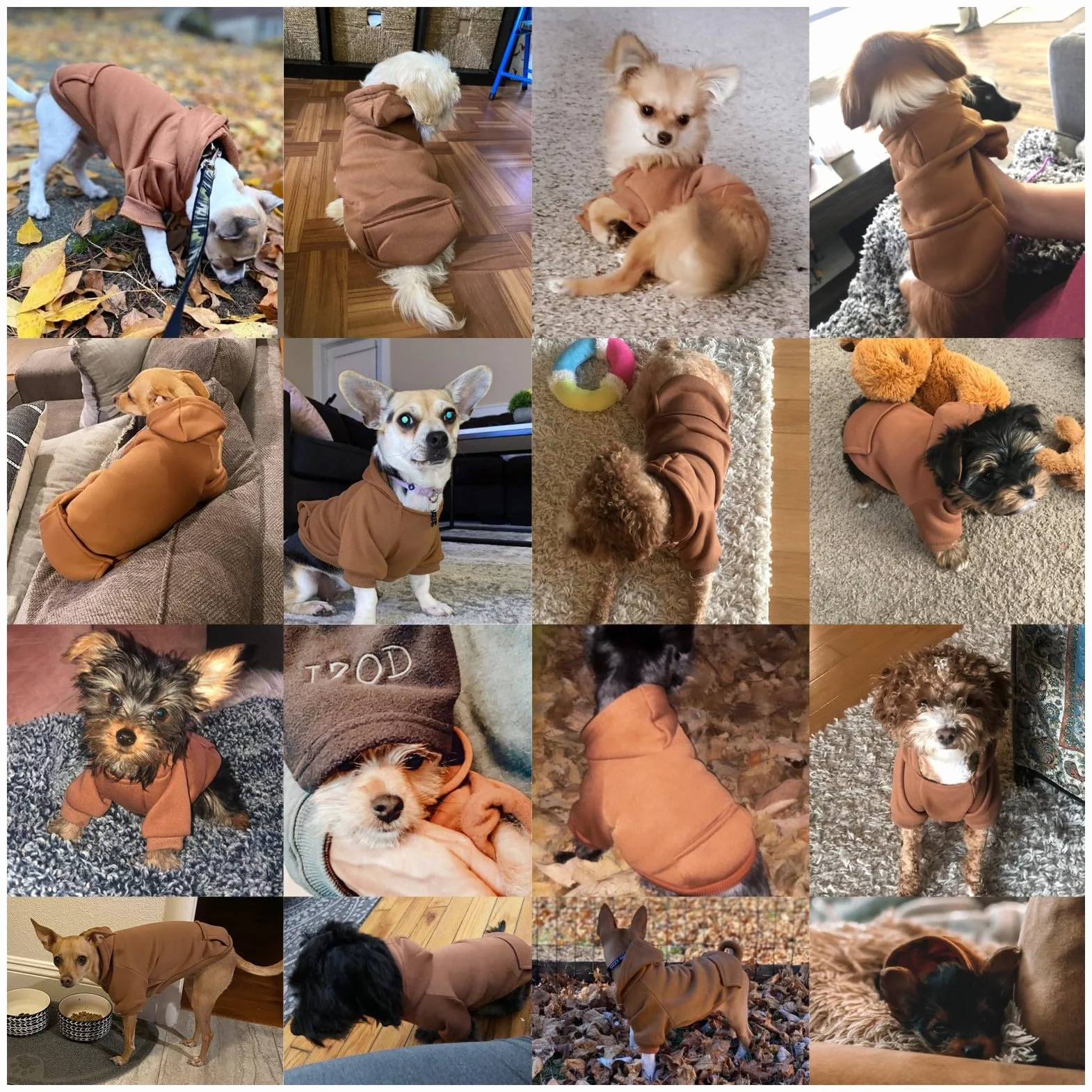 Manteau d'hiver Sweat à Capuche pour Petit Chien, Chihuahua, Chiot, Chat, XXS, Marron café
