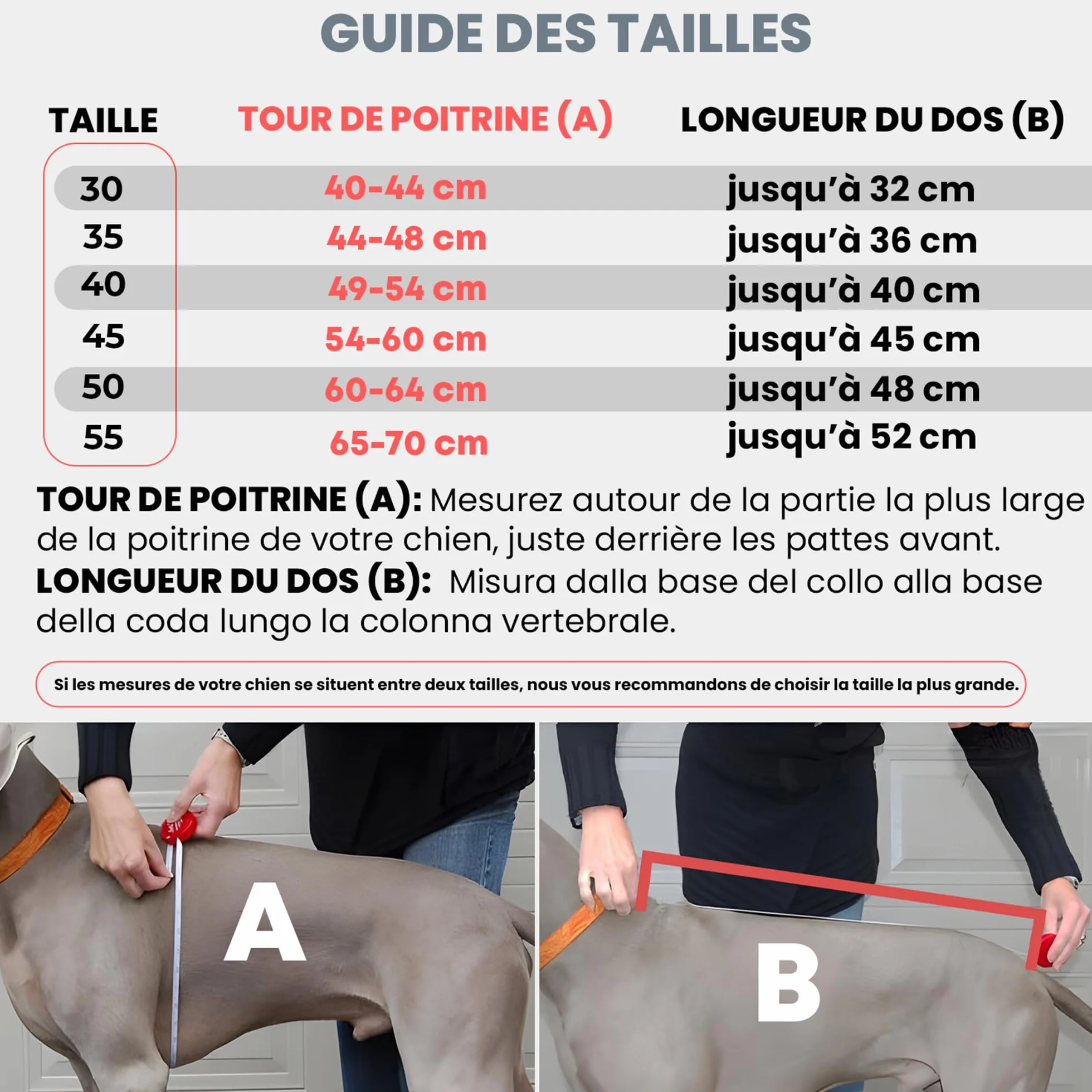 DOGOPAL Manteau Imperméable pour Chien avec Harnais Intégré – Veste de Pluie Réfléchissante, Coupe-Vent et Chaude pour Chien, Veste de Protection pour Petits, Moyens et Grands Chiens (Gris, 45)