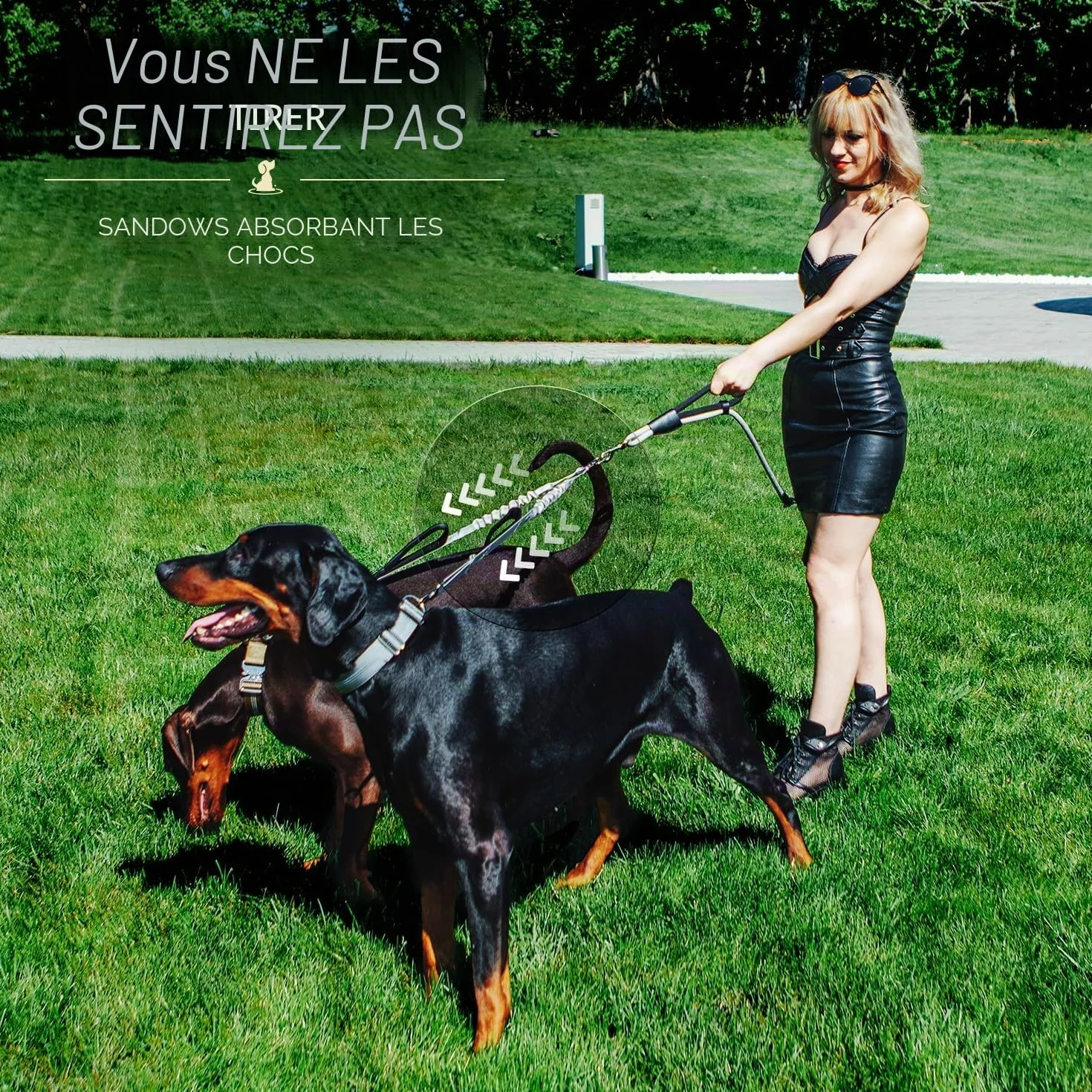 Laisse Double de qualité supérieure pour Deux Chiens - Absorption des Chocs et Anti-Traction - Double Laisse pour Chiens de Taille Moyenne et Grande avec Double Attache réglable pour 2 Chiens