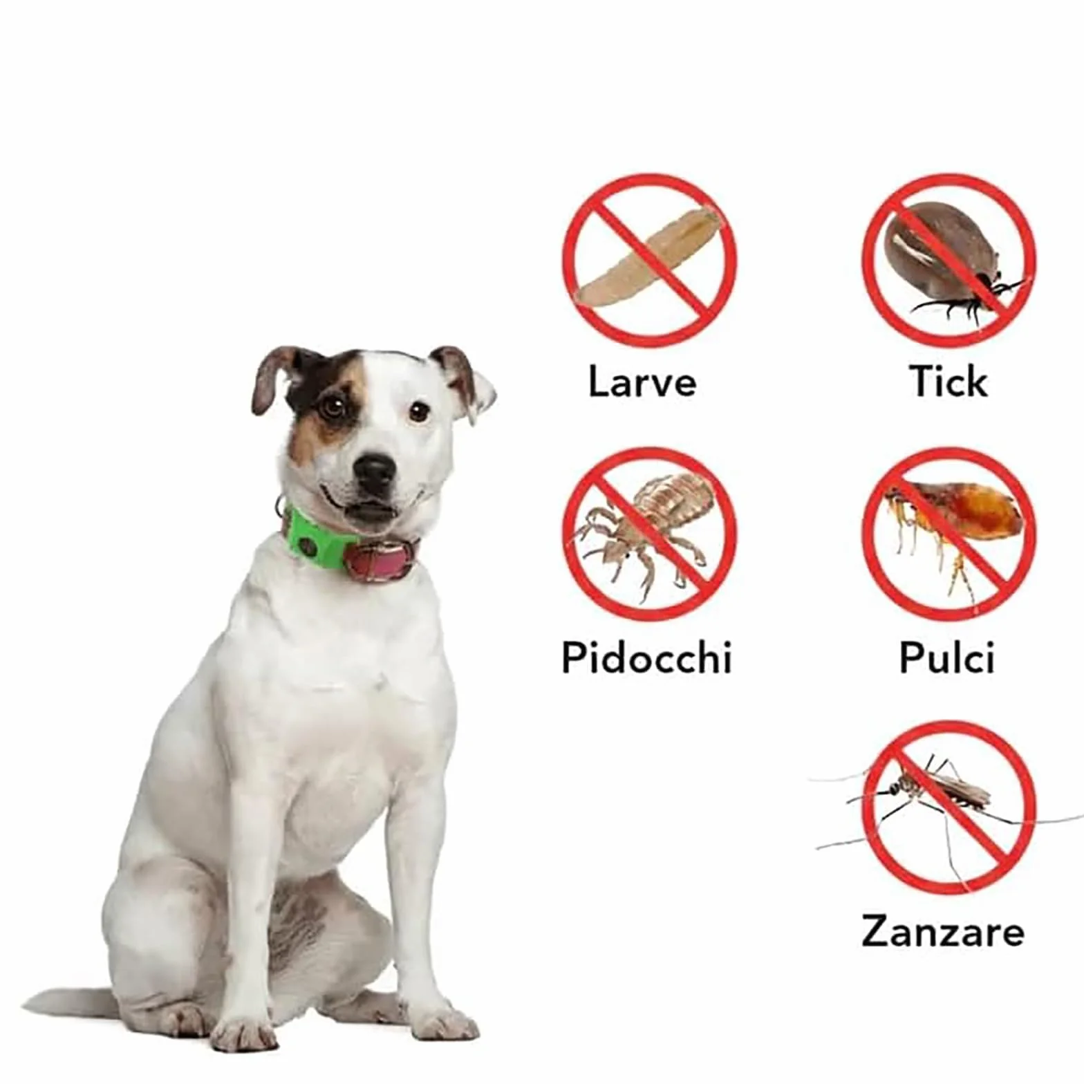 Collier Anti Puce et Tique Naturel pour Chien, Répulsif Huiles Essentielles 2 Capsules Remplaçables, Réglable Compatible AirTag Vert