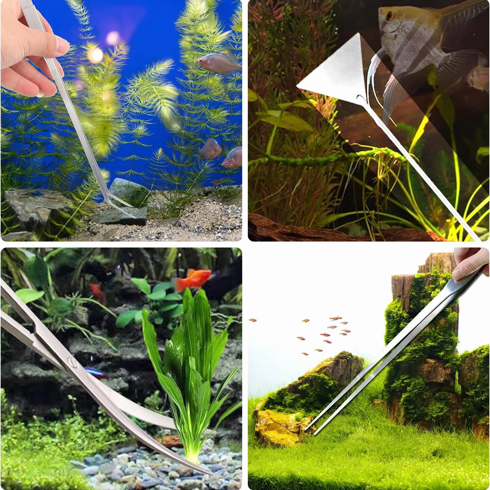 Kit d'outils aquarium 4 en 1 en acier inoxydable avec pince longue, ciseaux, spatule