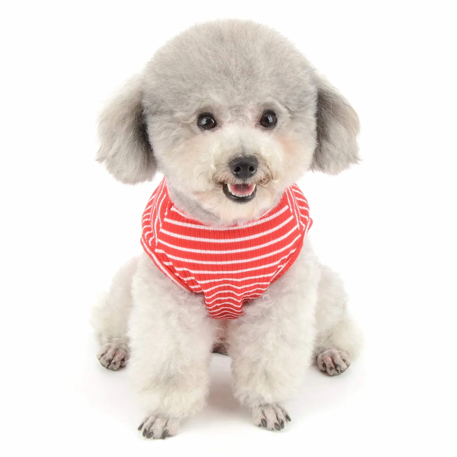 Vêtements pour Animaux domestiques