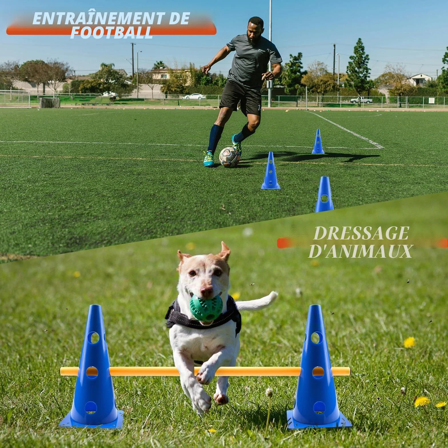 Agility Kit de barrière d'agilité pour Chien - Cavaletti réglables - Hauteur 32 cm - 8 Barres 80 cm