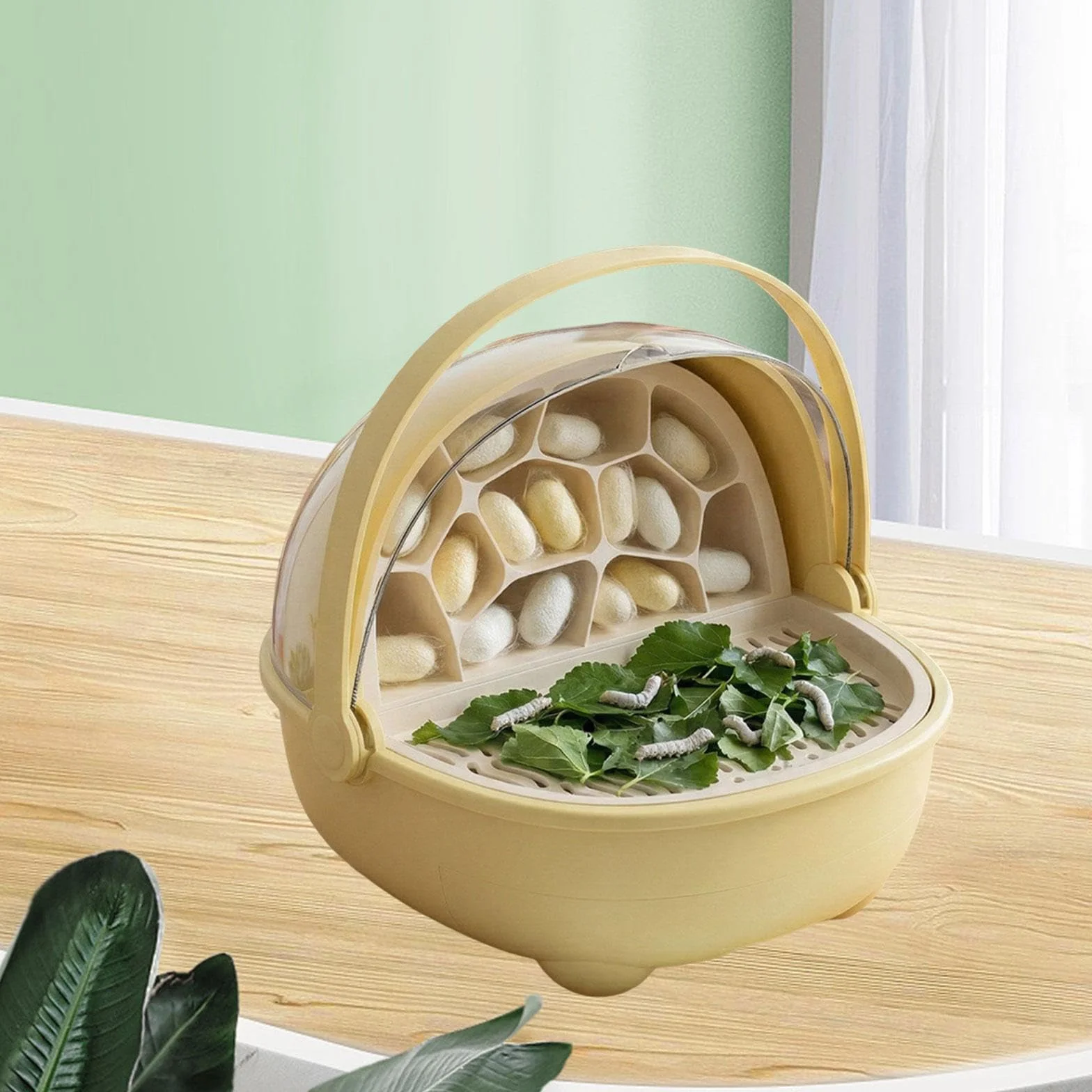 F Fityle Boîte d'élevage pour vers à soie, Cage d'incubation pour geckos, Jaune