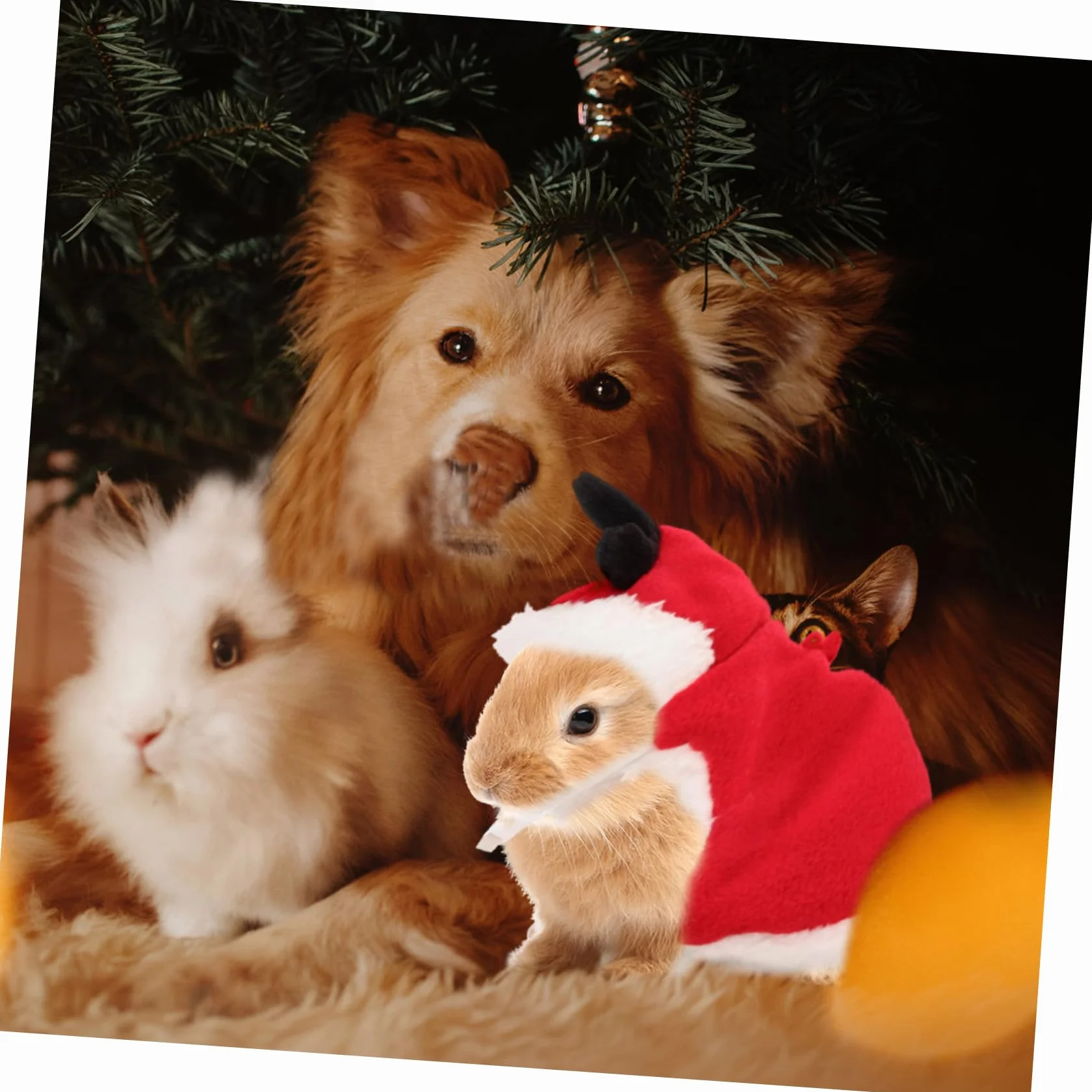Harnais Lapin Nain Réglable avec Laisse pour Promenade Sécurisée Vêtement Noël Confortable Petits Animaux