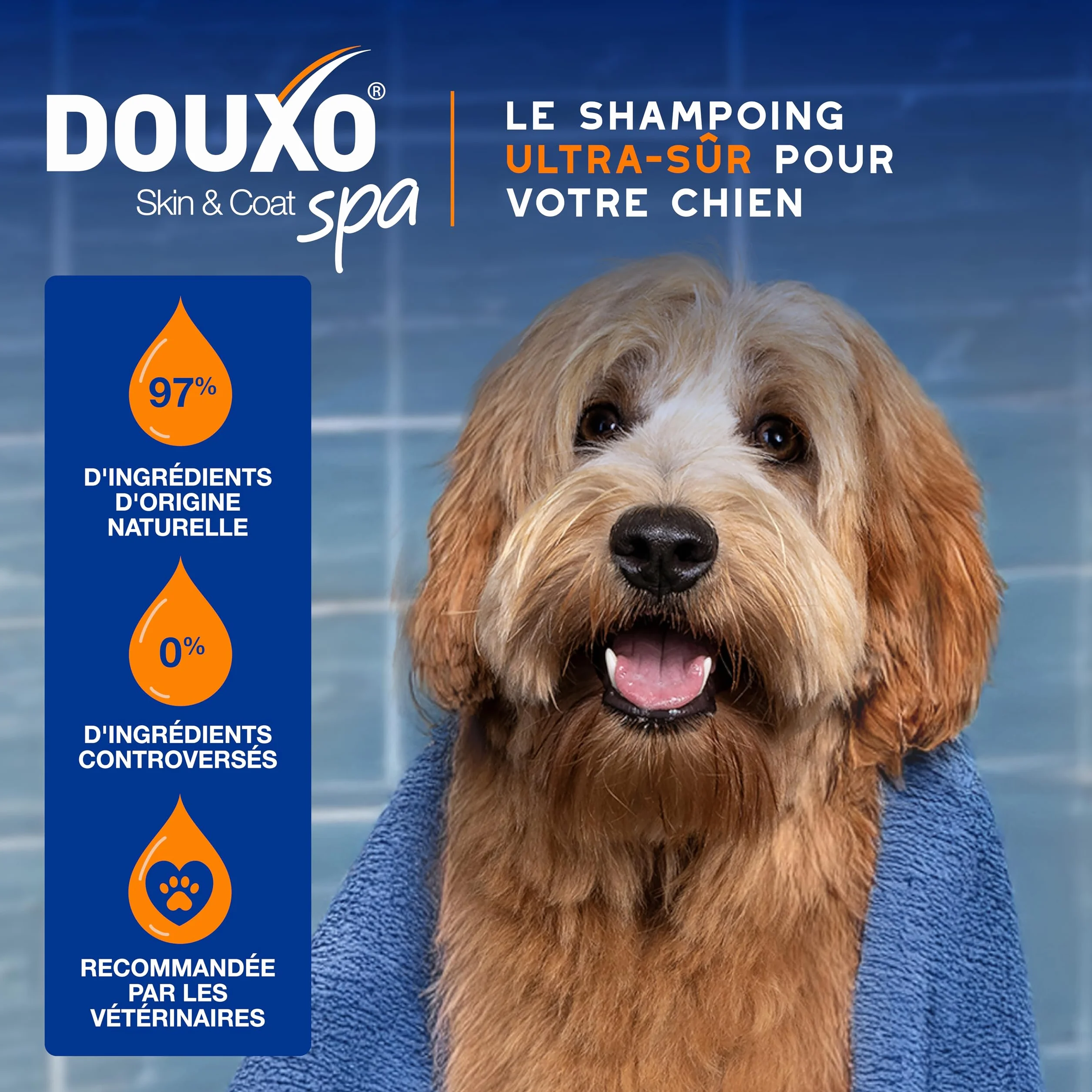 DOUXO Skin & Coat Spa - Ultra-Safe Shampoing 2 en 1 démêlant pour Chiens, 250 ML, nettoie et Hydrate en Profondeur la Peau et Le Poil, Laisse Le Pelage Doux, Soyeux et démêlé, respecte la Peau.