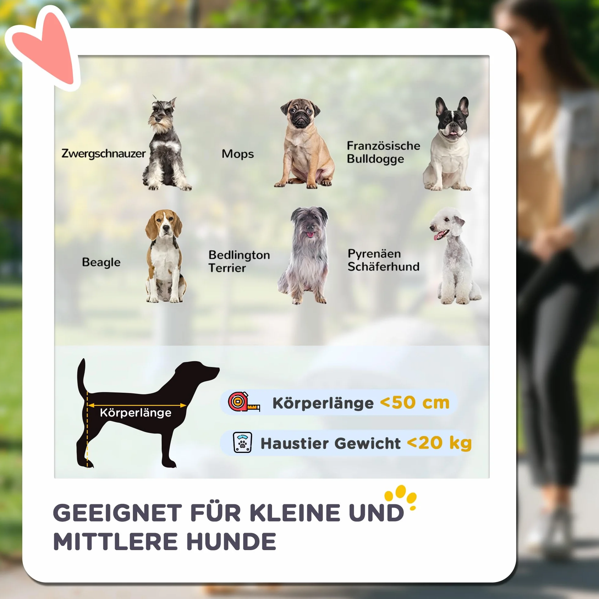 PawHut poussette pour chien pliable jusqu'à 20 kg avec coussin et poches