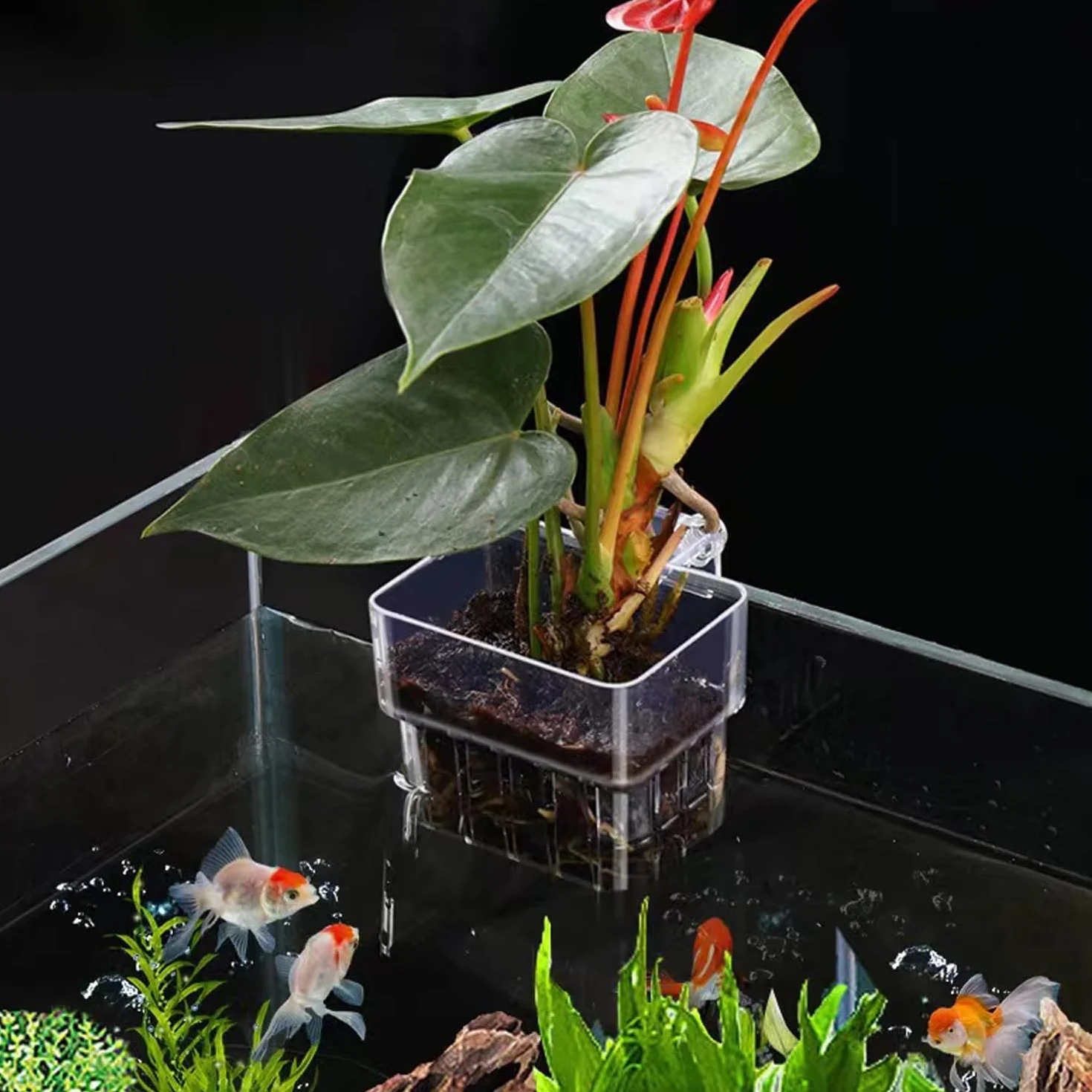 Support Plante D'Aquarium, Pot pour Plantes D'Aquarium, Acrylique Transparent Tasses Panier pour Plantes Aquatiques Suspension, Décoration pour Aquarium, 2 Pièces