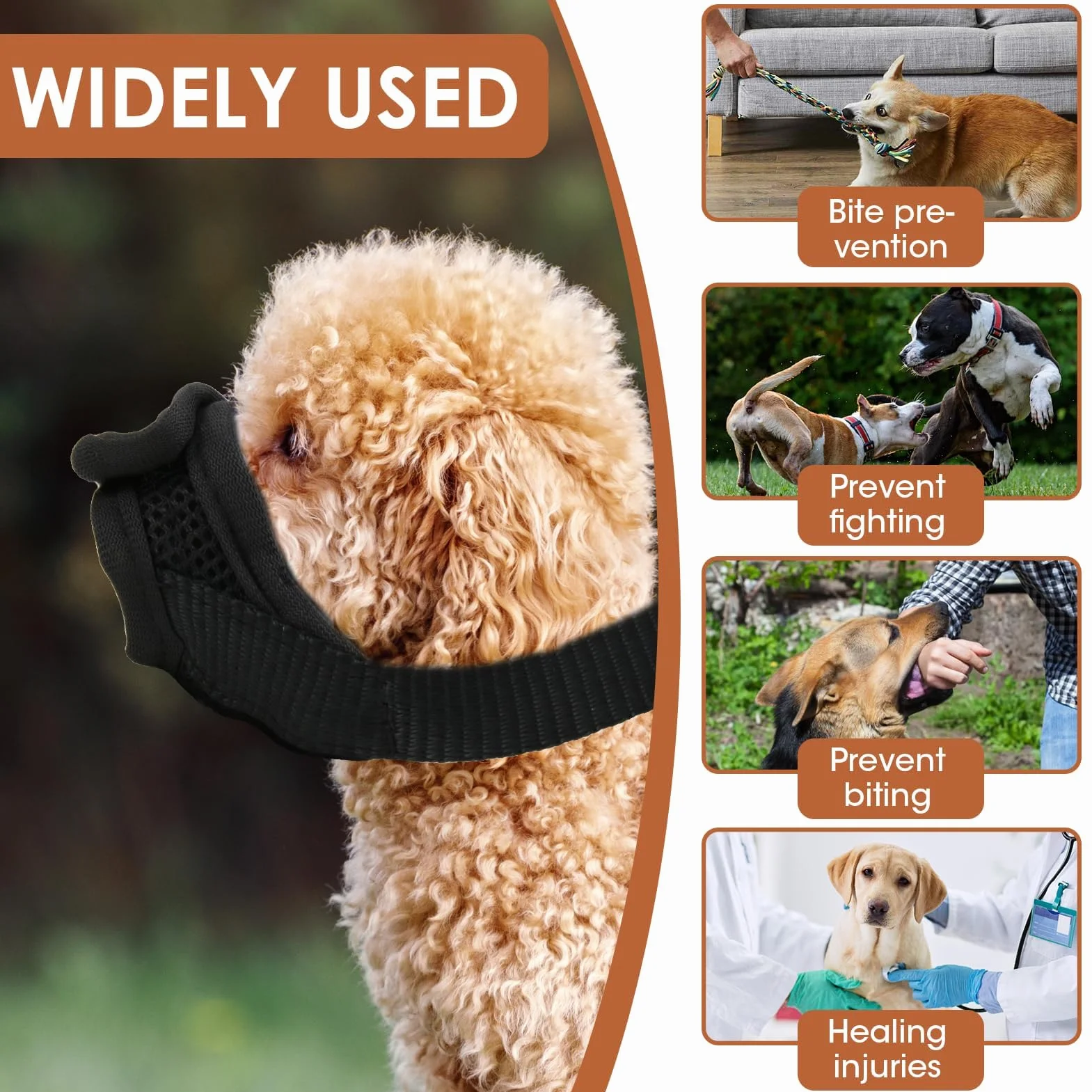 Anti Morsure Muselière Dog Muzzle, Musoliaire Petit Chien Nylon Legere Souple Museliere Réglable Anti Aboiement Intoxication Chiens pour Teddy Bear Shih Tzu Jack Russell Terrier Teckel Nain (S)