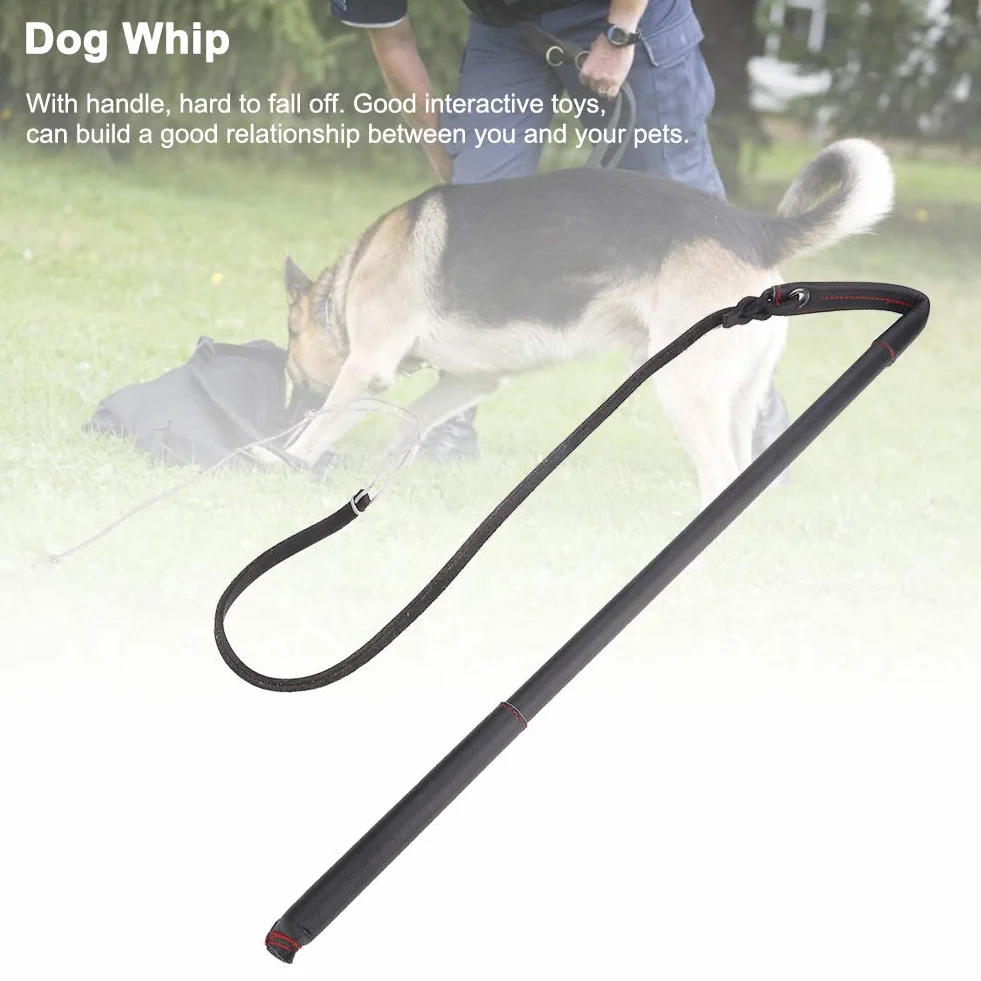 Martinet pour Chien Fouet Cuir Dressage Taille Moyenne Peau de Vache