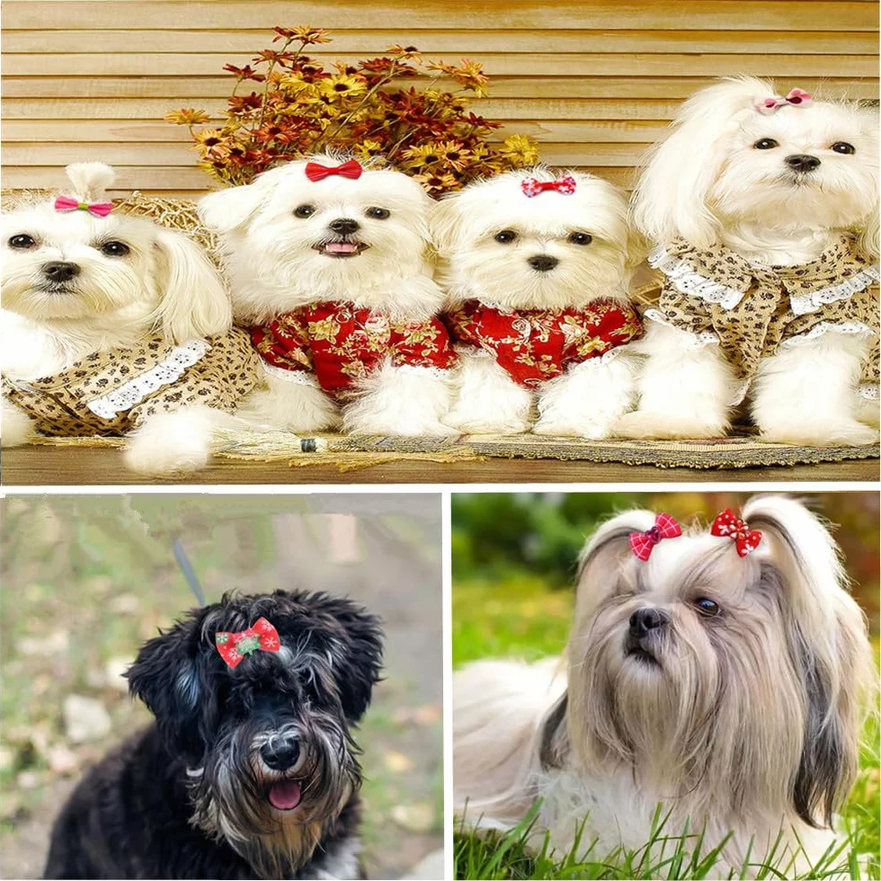 Nœuds pour chiens avec élastiques, Lot de 30, Styles d'arcs Multiples, Accessoires de Toilettage