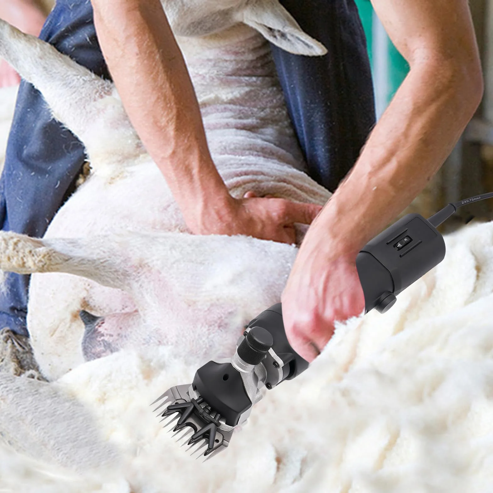 Tondeuse électrique pour moutons 350 W 3600 tr/min 220 V