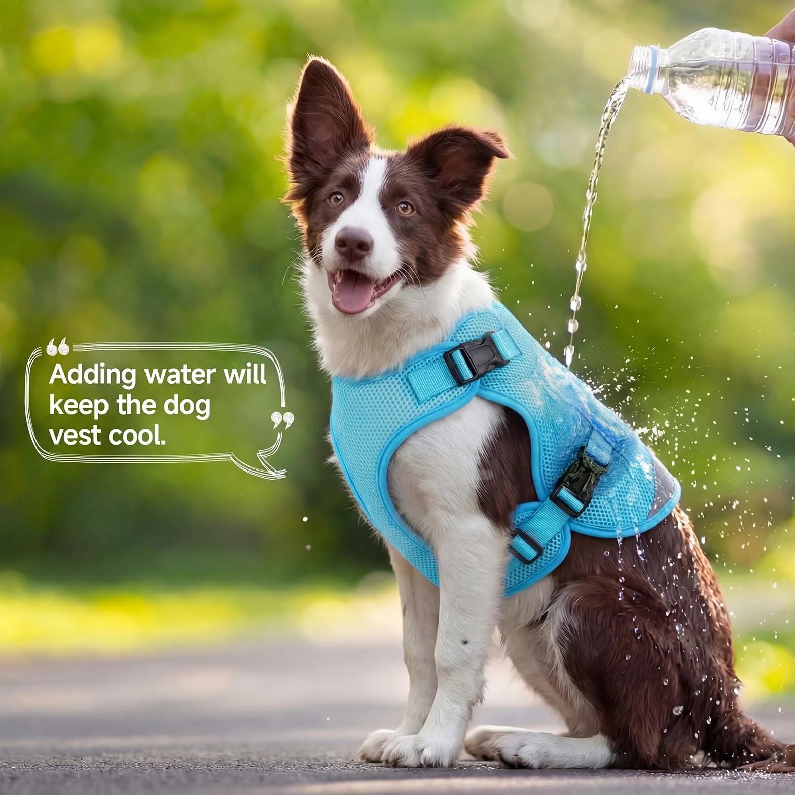 Veste rafraîchissante pour chiens XL - Gilet frais respirant par évaporation avec bandes réfléchissantes