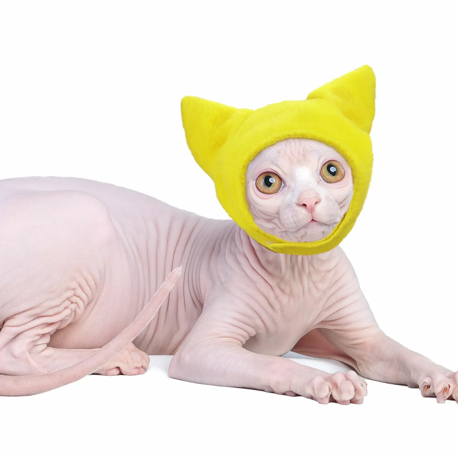 Sphynx Chapeau de Protection d'oreille pour Chat sans Poils