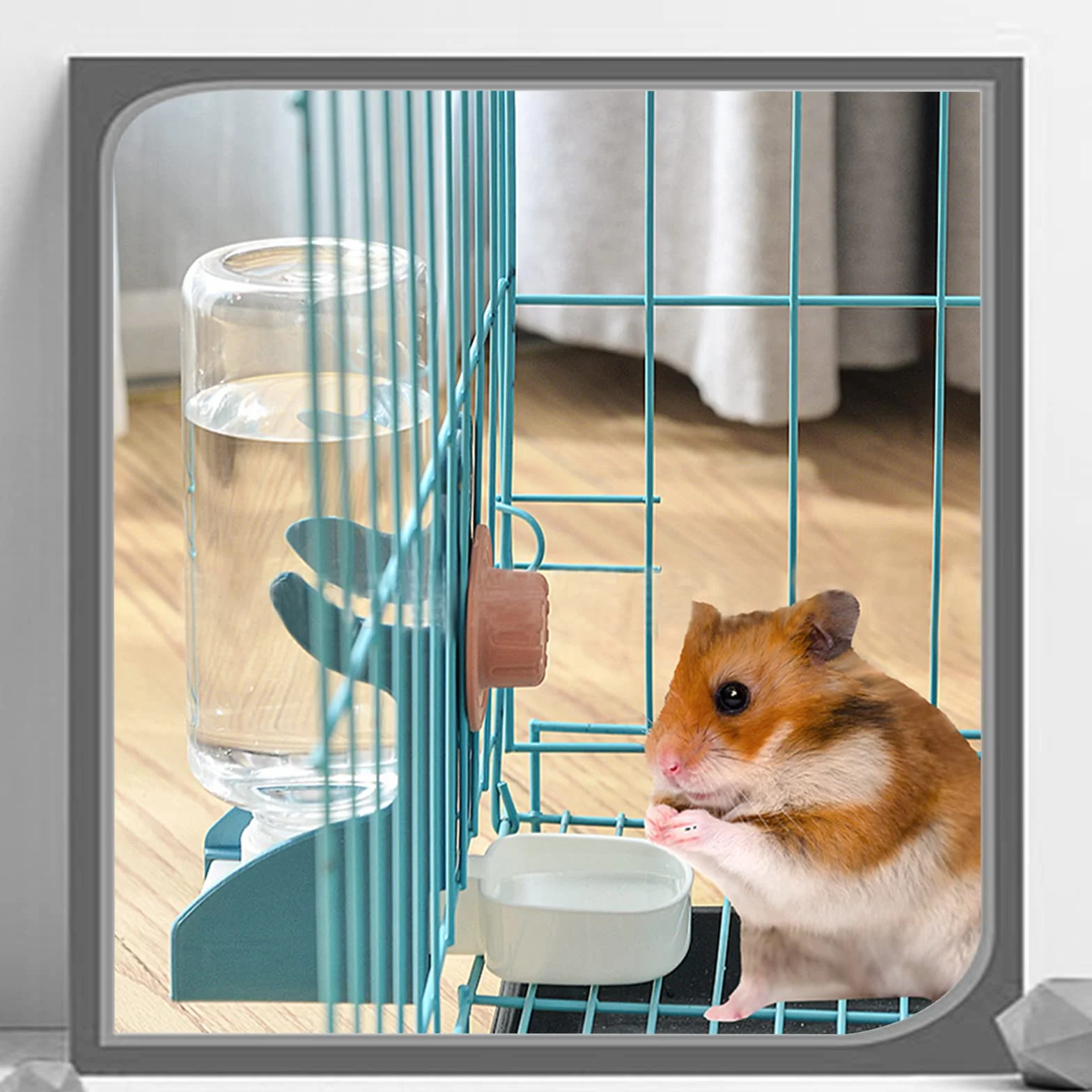 Distributeur d'eau pour Petits Animaux Automatique 1 Pièce Chats Chiens Lapins