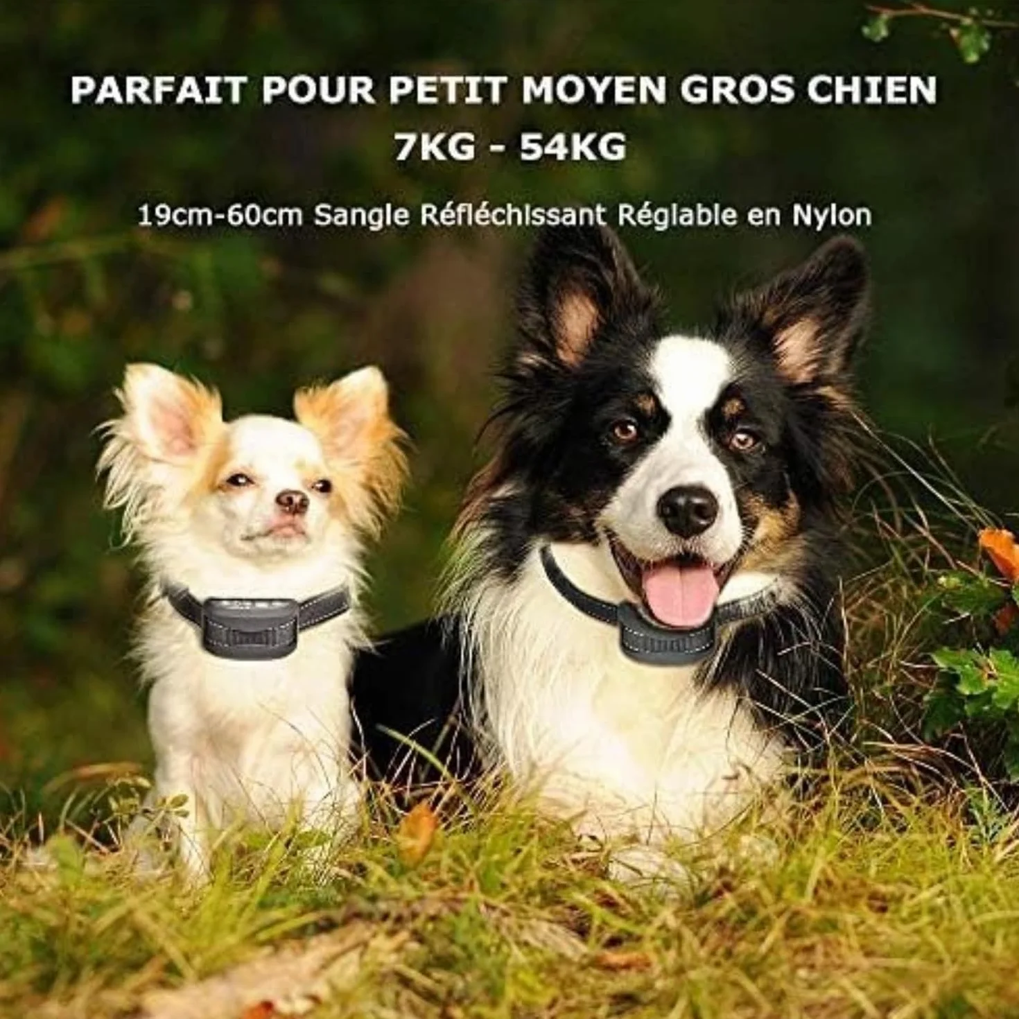 Collier Anti-aboiement Chien 3 Modes Choc Électrique Vibration Sensibilité Batterie Rechargeable Sangle Réfléchissant Réglable