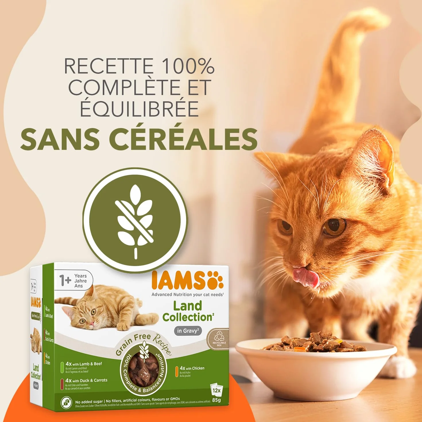 IAMS Delights Land Collection Nourriture Humide pour Chat sans céréales – Multipack avec Viande, variétés en Sauce, Nourriture Humide sans céréales pour Chats à partir de 1 an, 12 x 85 g