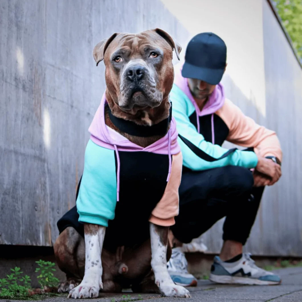 Spark Paws Sweat à capuche pour chien – Veste d'hiver chaude pour petites, moyennes et grandes races – Cyber Punk – M